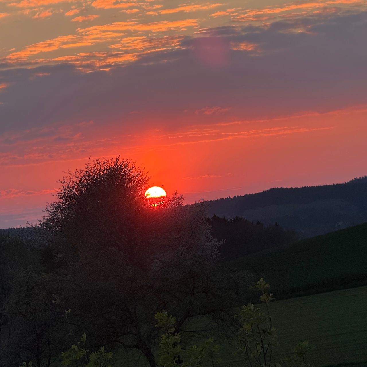 Soutěžní fotografie - Západ slunce nad českým lesem,  Stráž, Tachovsko