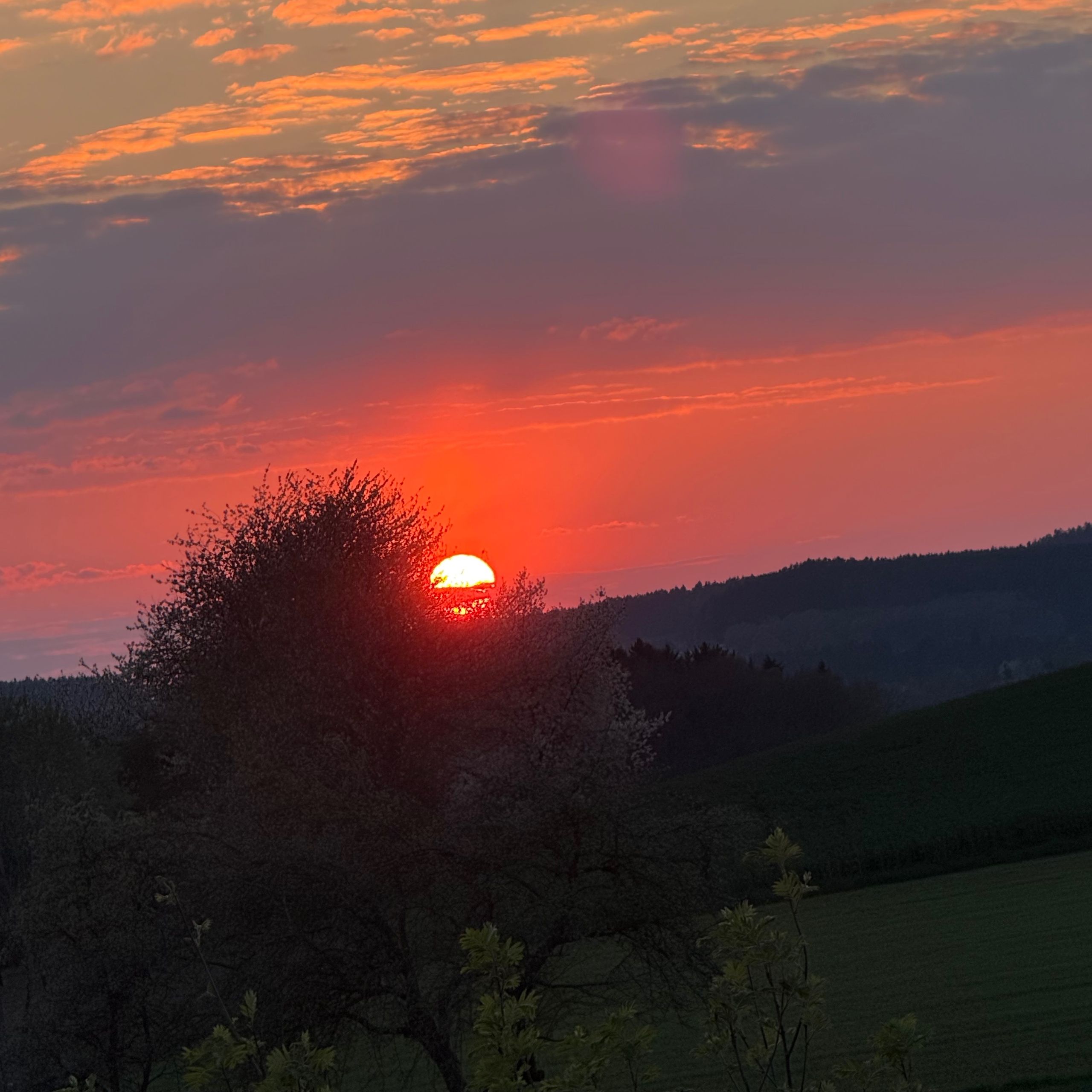Soutěžní fotografie - Západ slunce nad českým lesem,  Stráž, Tachovsko