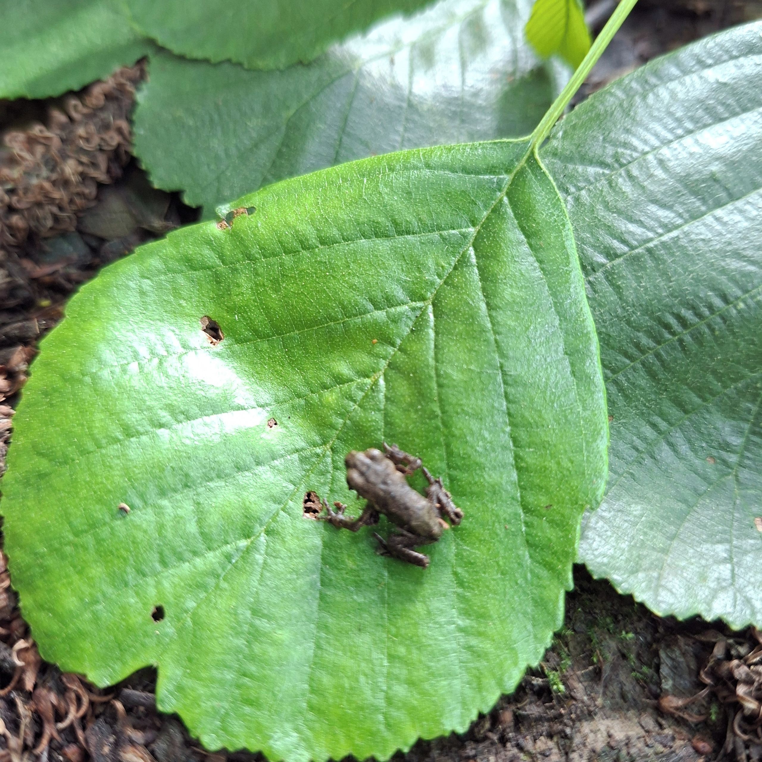 Soutěžní fotografie - Malý objevitel,  Velké Heraltice
