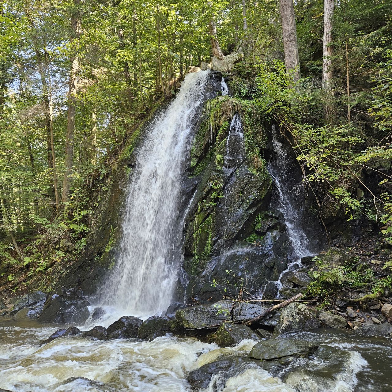Soutěžní fotografie - Vodopád Terčino údolí,  Terčino údolí u Nových Hradů