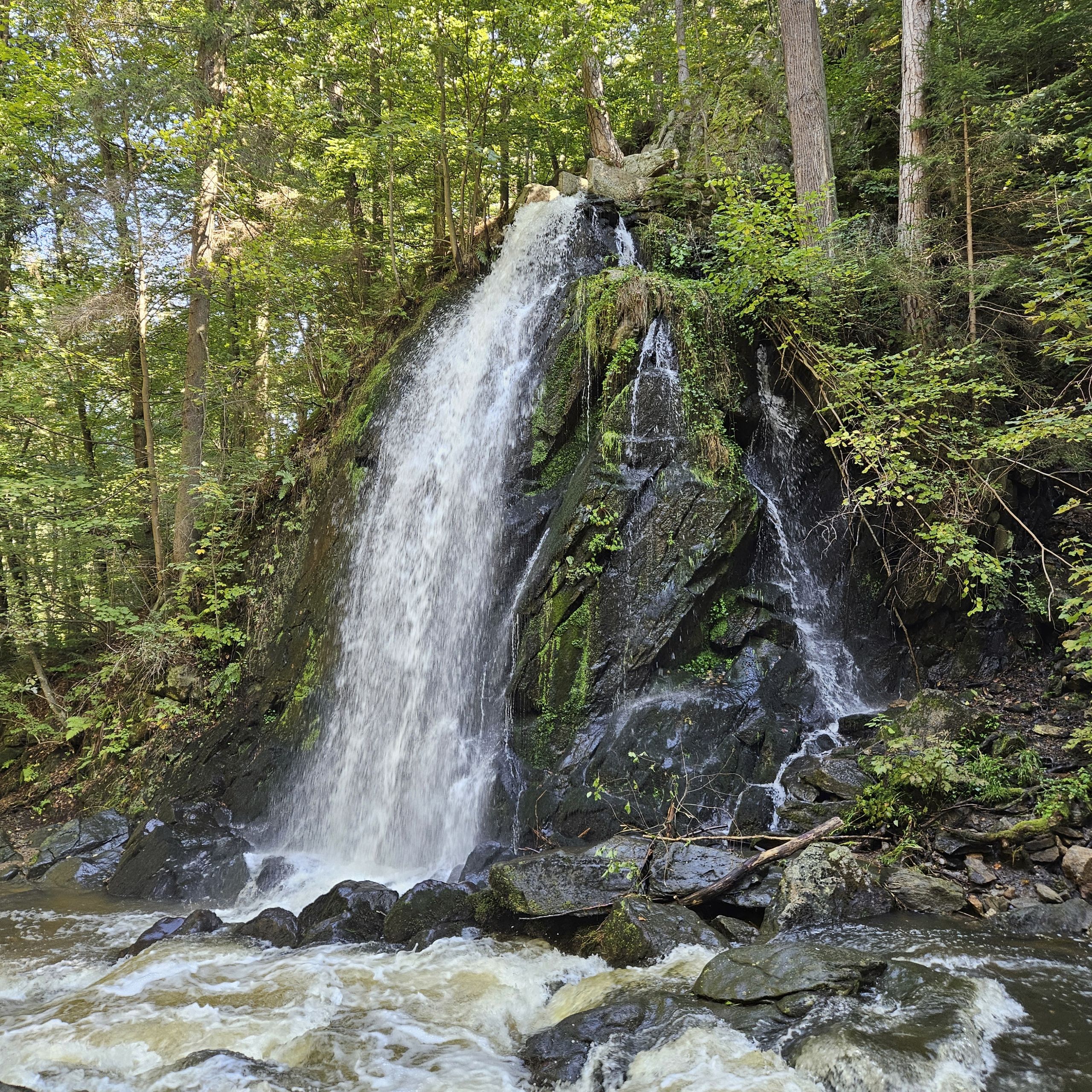 Soutěžní fotografie - Vodopád Terčino údolí,  Terčino údolí u Nových Hradů