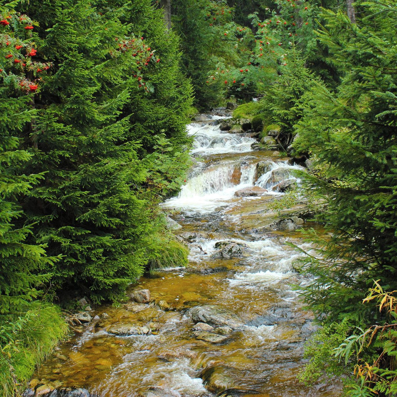 Soutěžní fotografie - Čirá horská bystřina,  Krkonoše