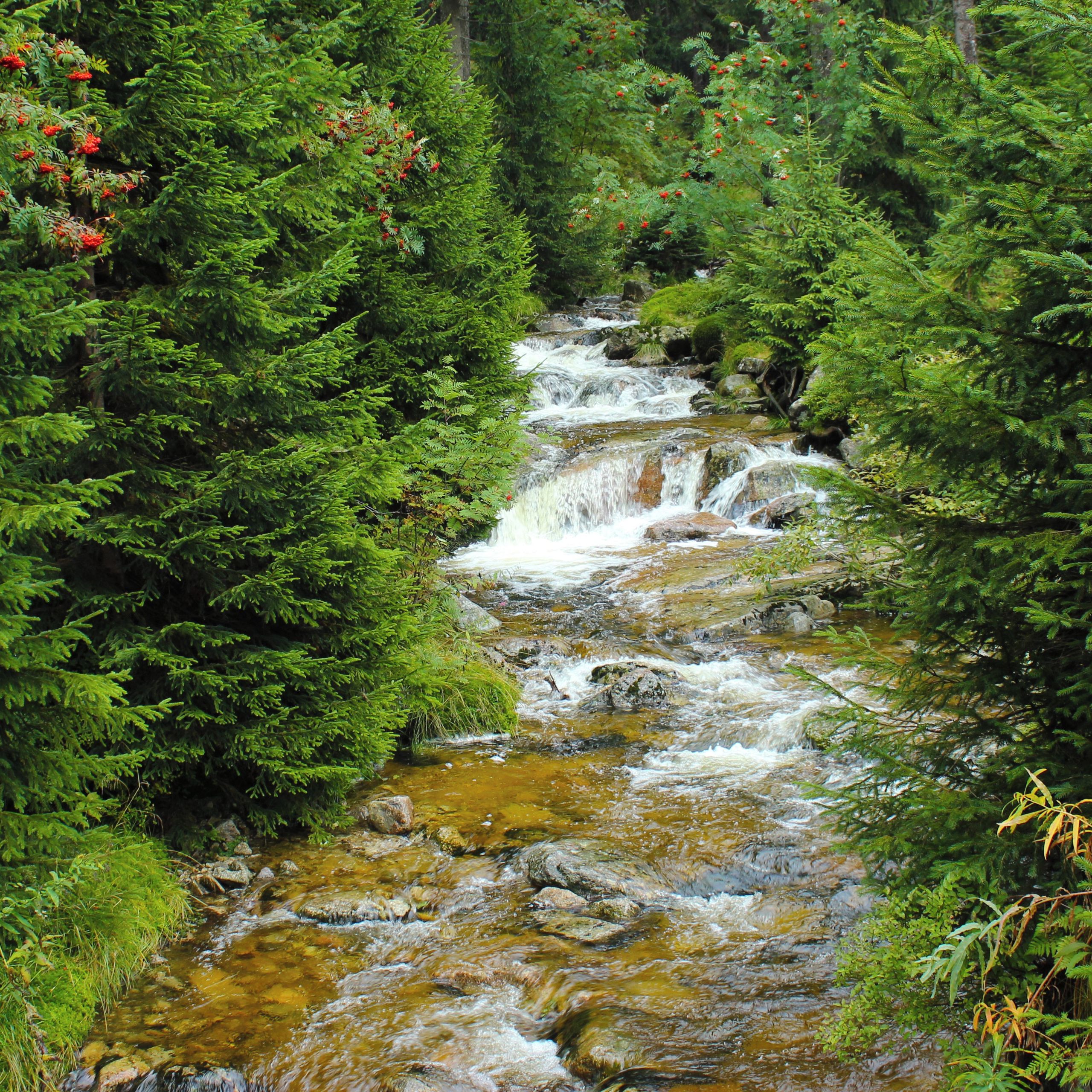 Soutěžní fotografie - Čirá horská bystřina,  Krkonoše