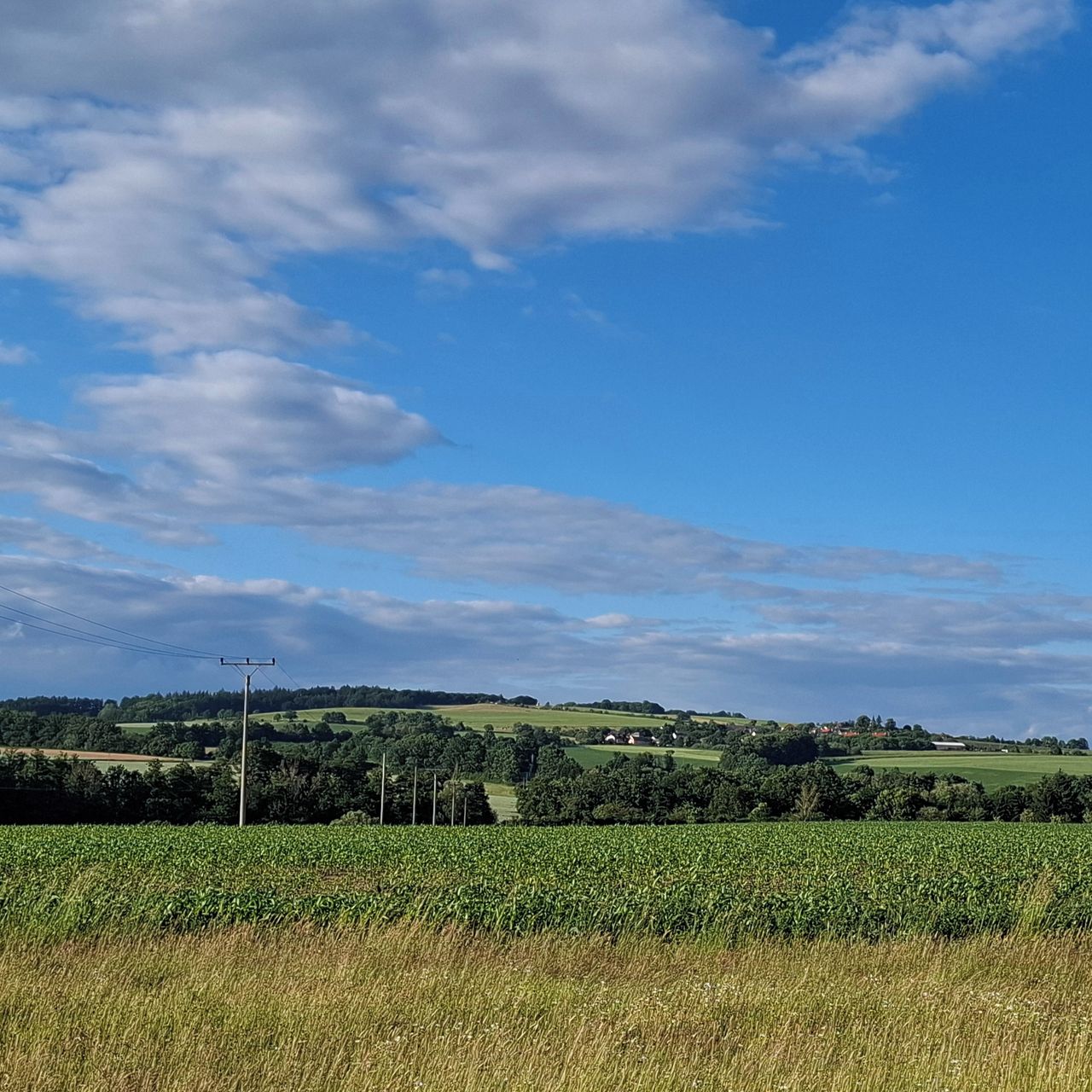 Soutěžní fotografie - Česká krajina,  Spálené Poříčí