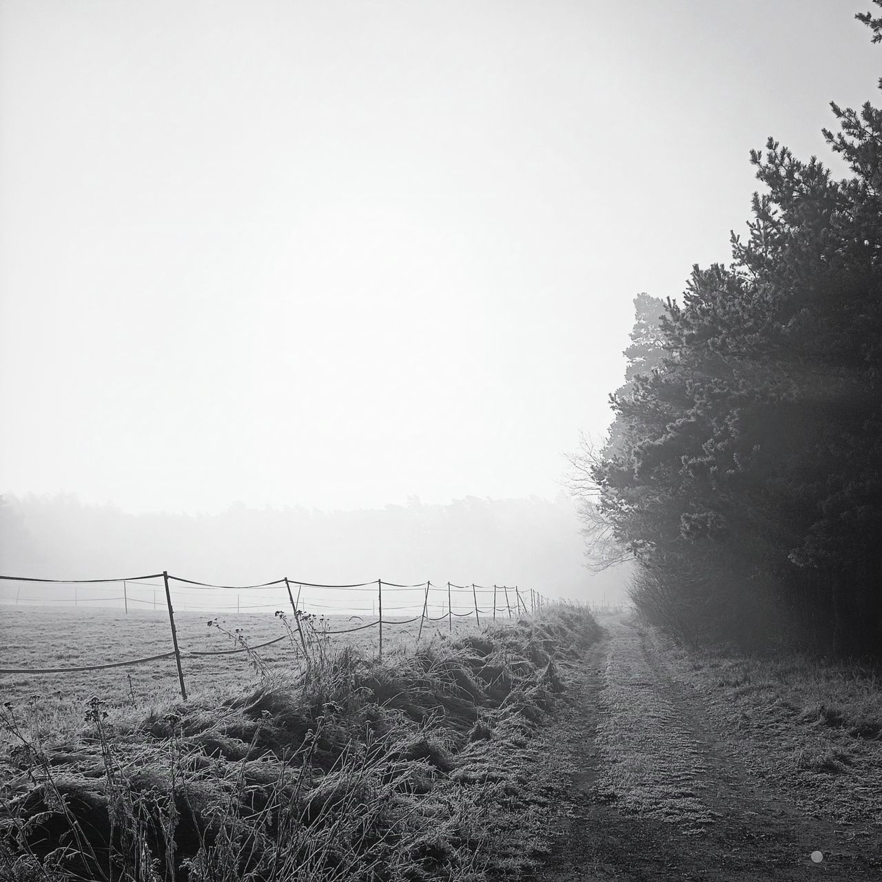 Soutěžní fotografie - Do neznáma,  Lipník, Mladoboleslavsko