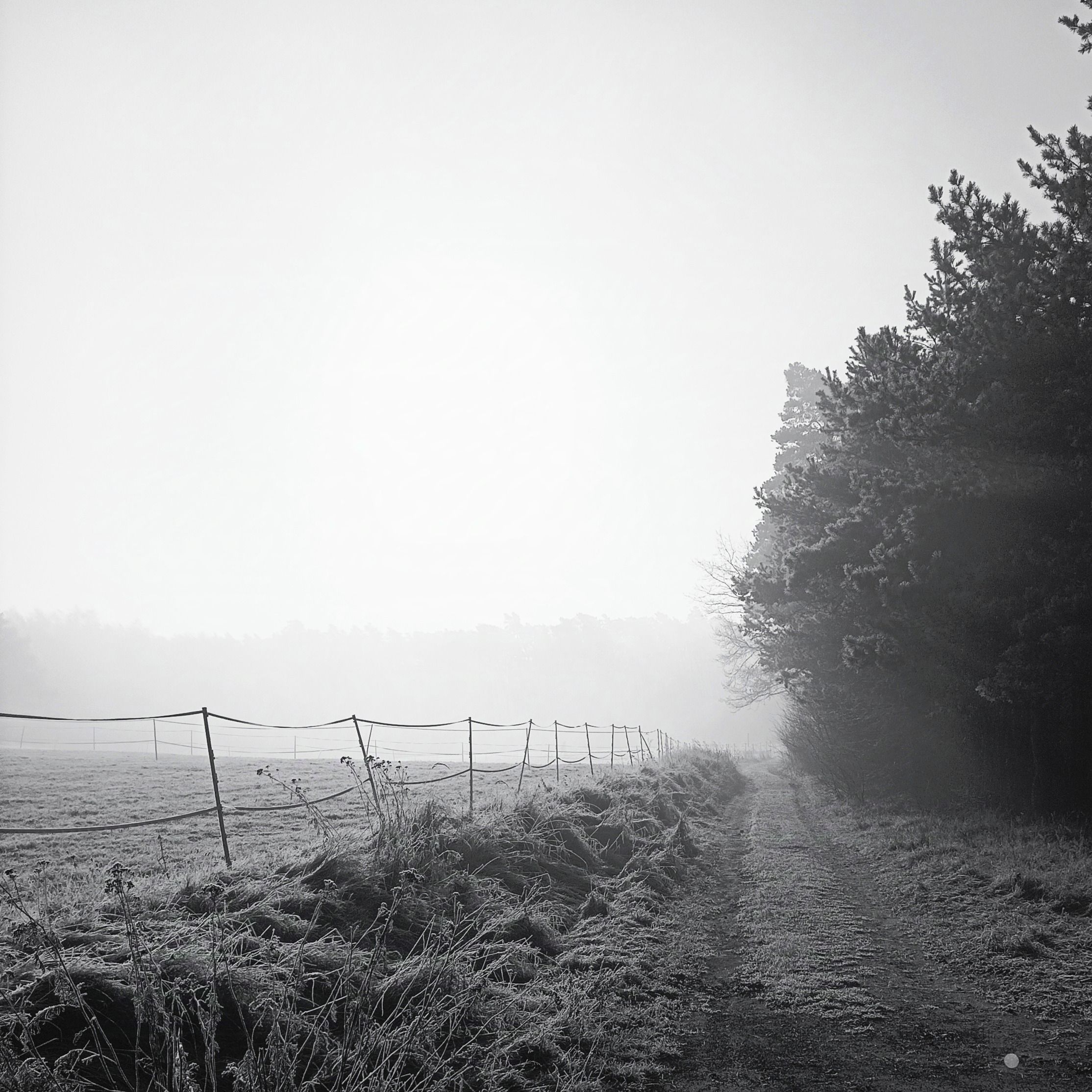 Soutěžní fotografie - Do neznáma,  Lipník, Mladoboleslavsko