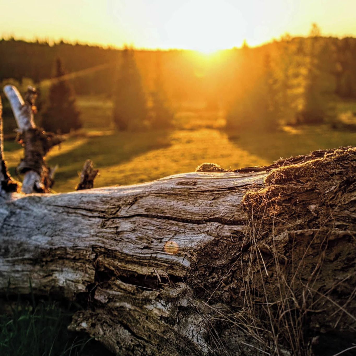Soutěžní fotografie - Dnové svítání,  Knížecí Pláně,Šumava...