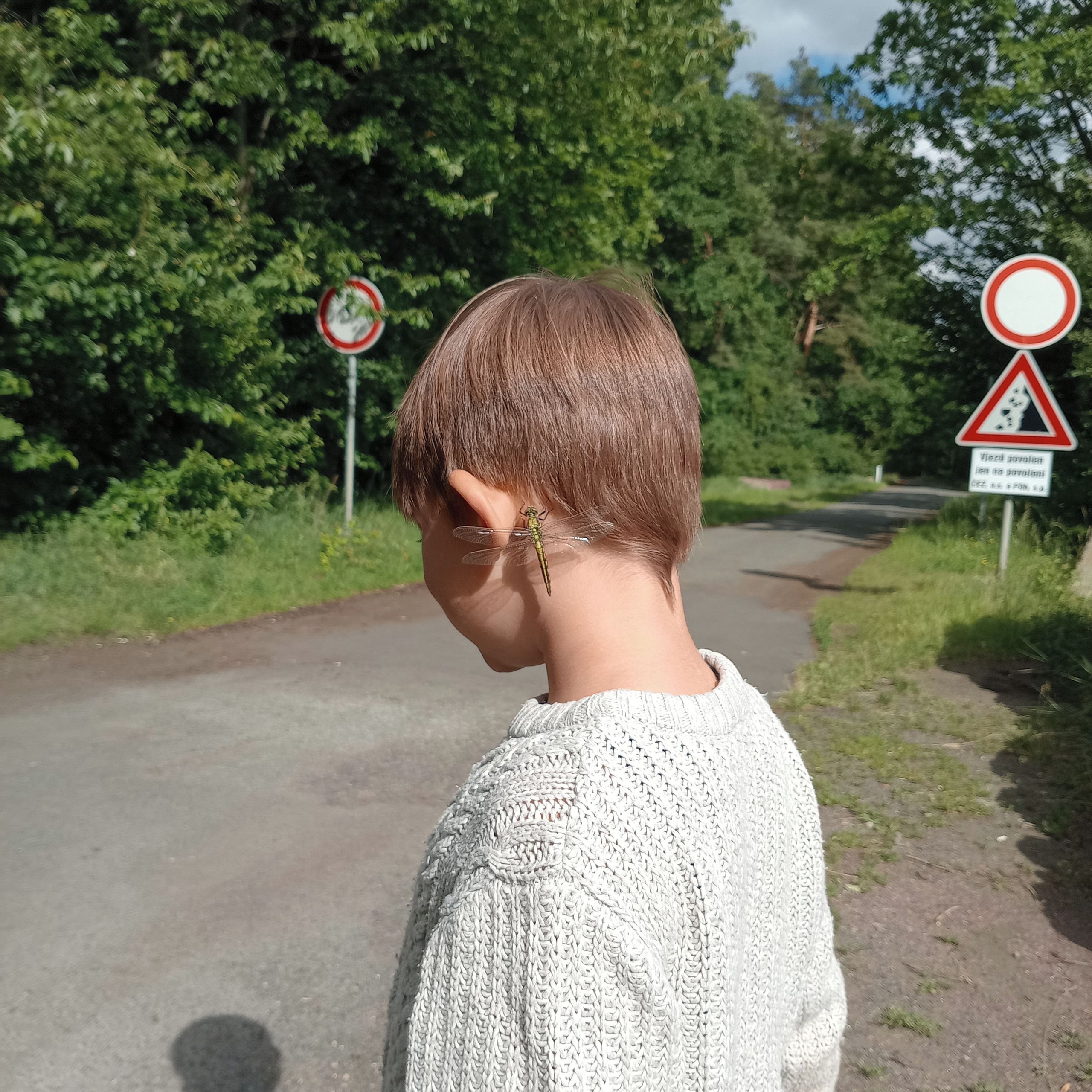 Soutěžní fotografie - Vážka,  U Ohře, Mariánské údolíSedla