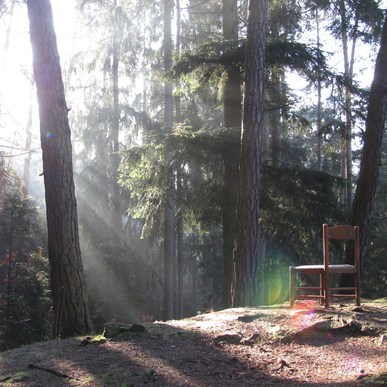 Soutěžní fotografie - Posaďte se u nás,  V okolí Trenckovy rokle