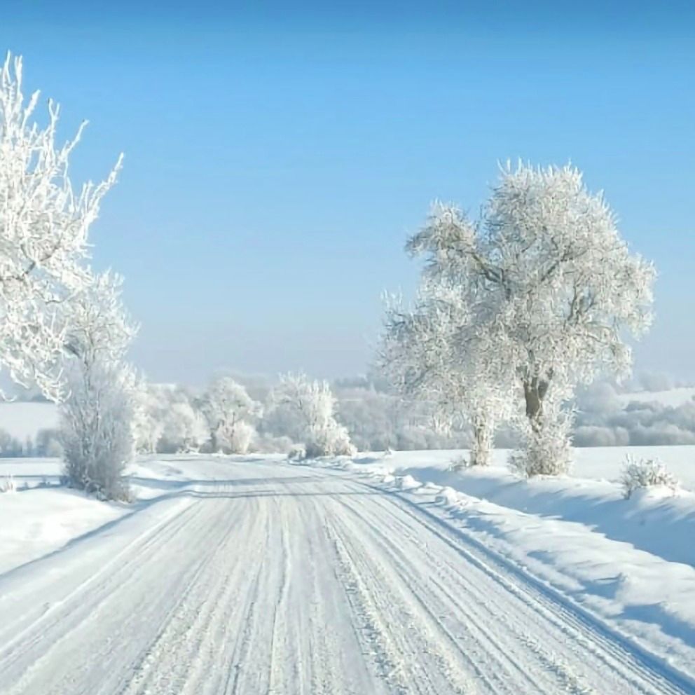 Soutěžní fotografie - Mrazivé sevření,  Teplýšovice - Čeňovice