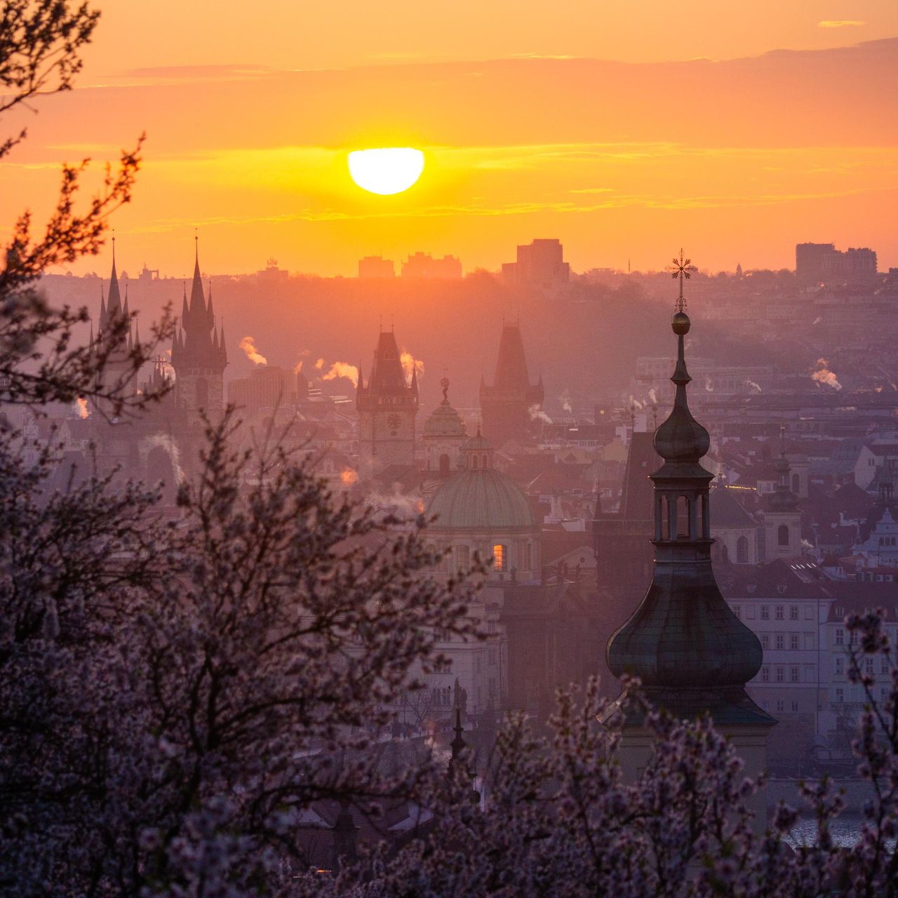 Soutěžní fotografie - Pražské jaro,  Praha, Petřín, Seminářská zahrada