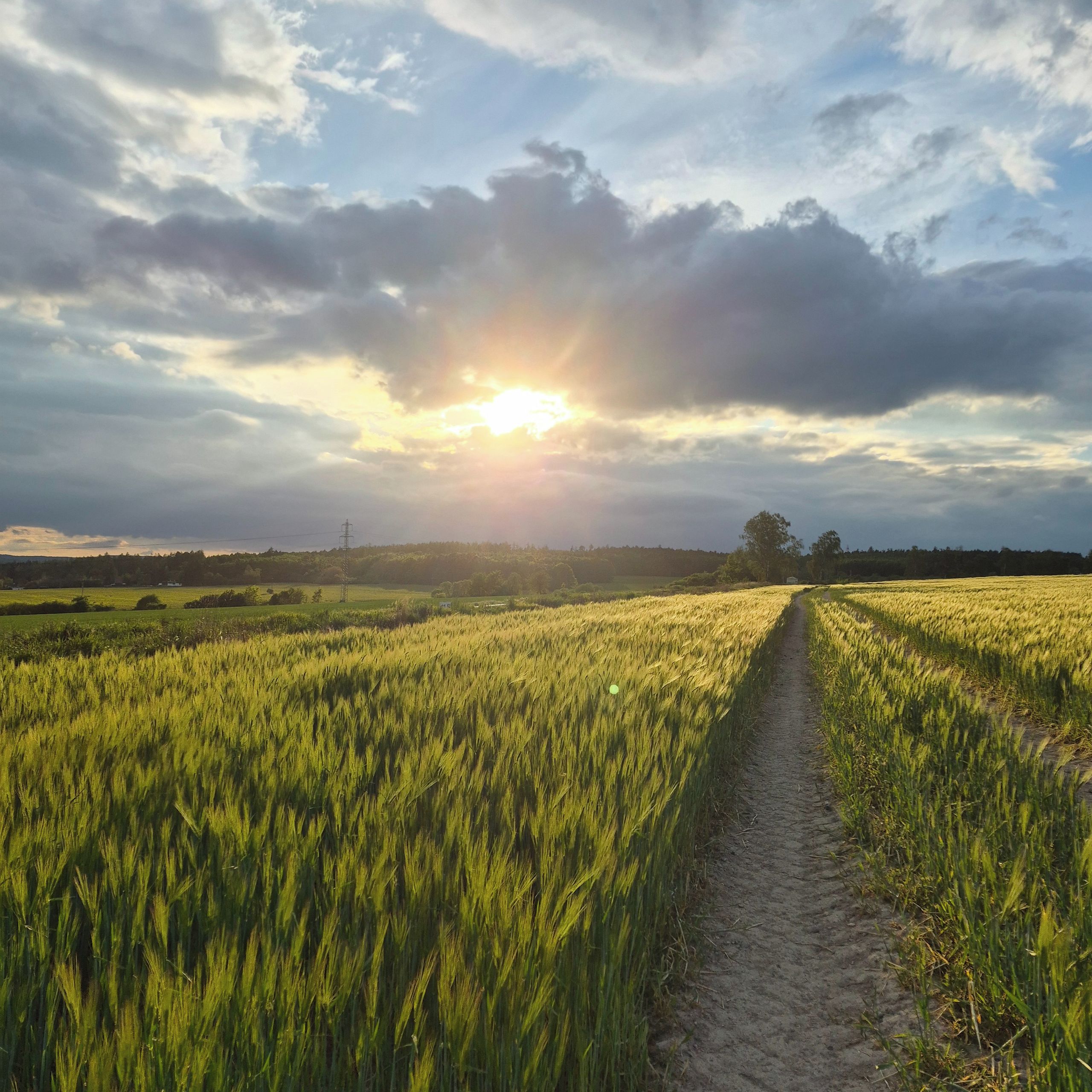 Soutěžní fotografie - Ochraňuj nás...,  Nová Ves pod Pleší