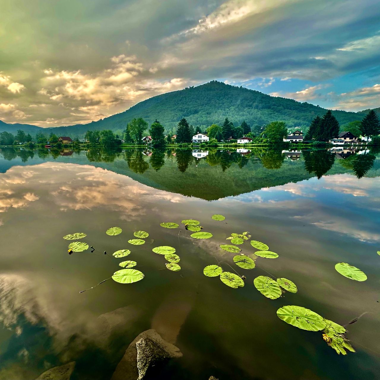 Soutěžní fotografie - Podvečer u Labe,  Dolní Zálezly