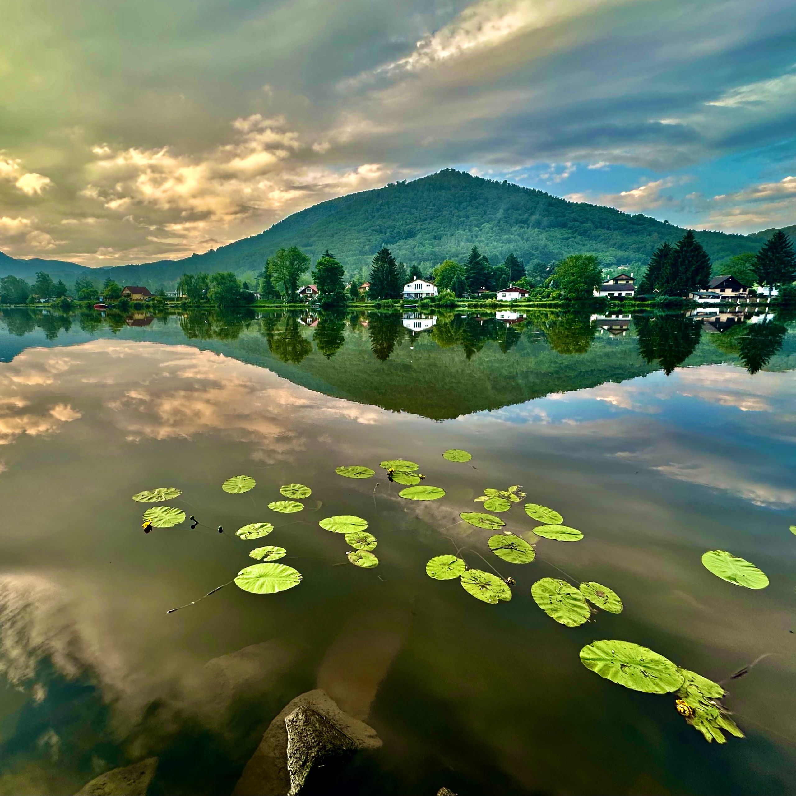 Soutěžní fotografie - Podvečer u Labe,  Dolní Zálezly