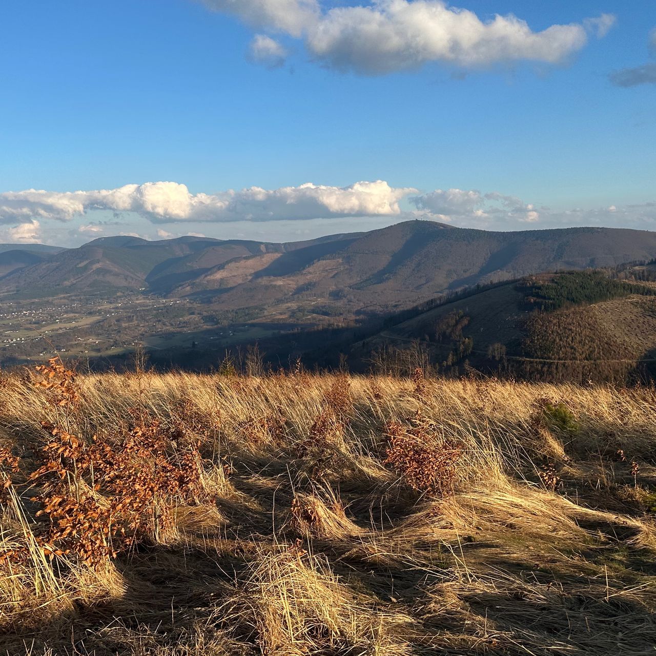 Soutěžní fotografie - Jory,  Morava