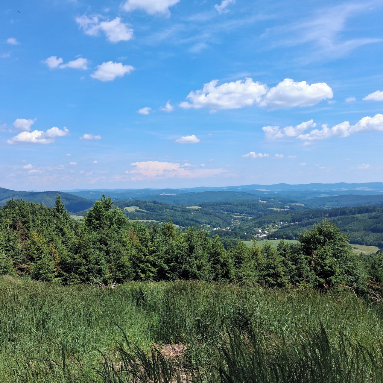 Soutěžní fotografie - Bzová - přirodní památka,  Vlčková - Bzová 622m