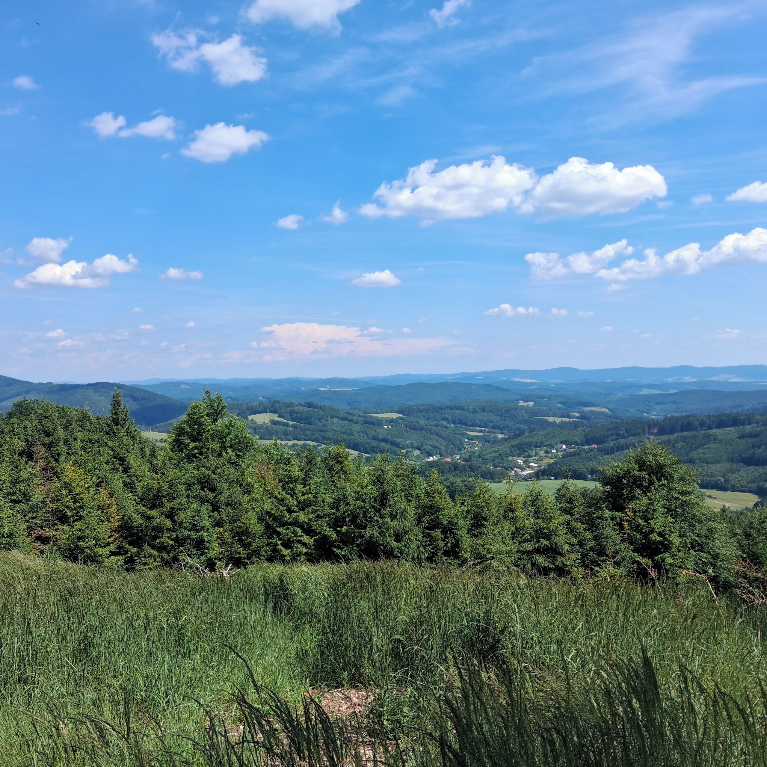 Soutěžní fotografie - Bzová - přirodní památka,  Vlčková - Bzová 622m
