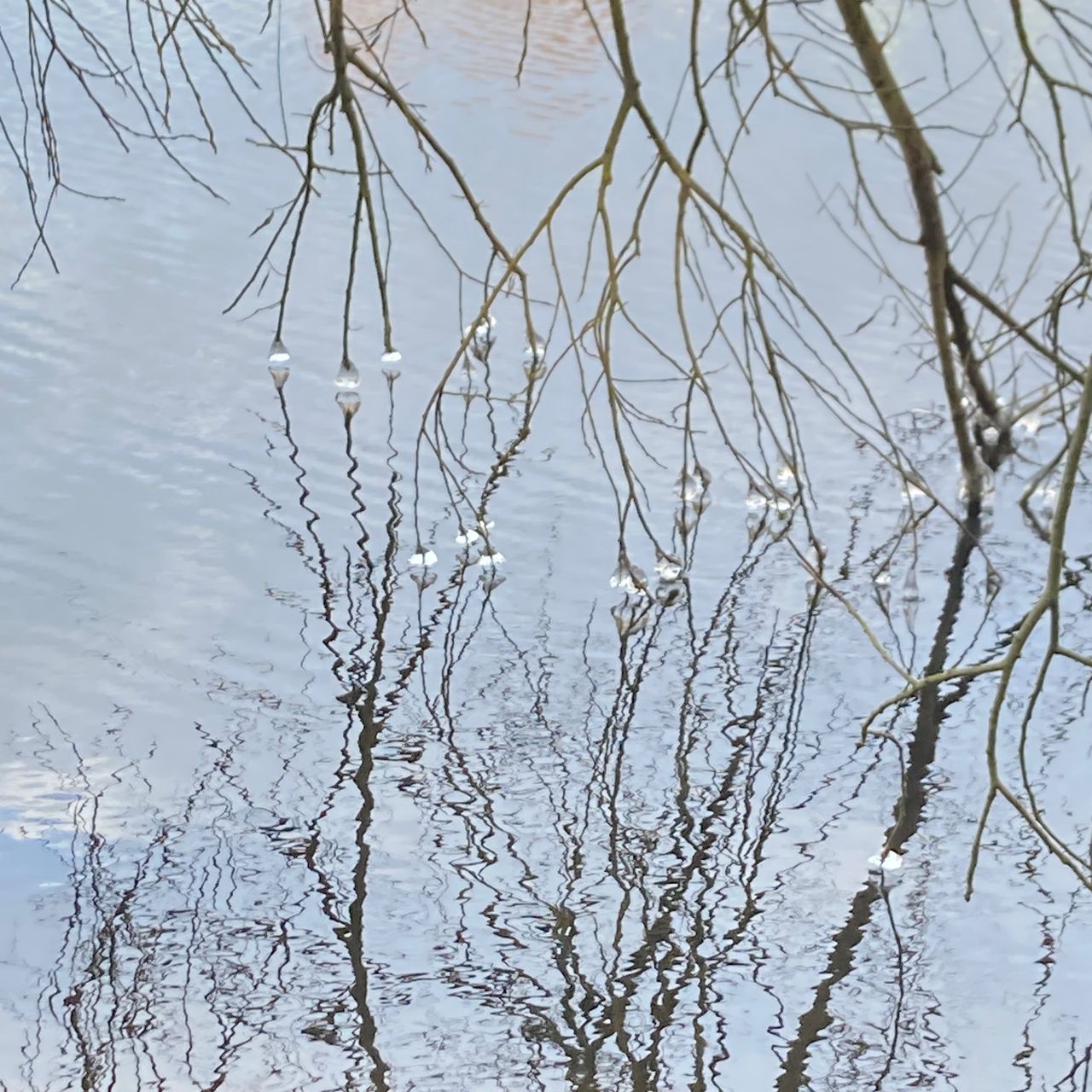 Soutěžní fotografie - Na Boží hod,  Nádrž Staviště Žďár nad Sázavou