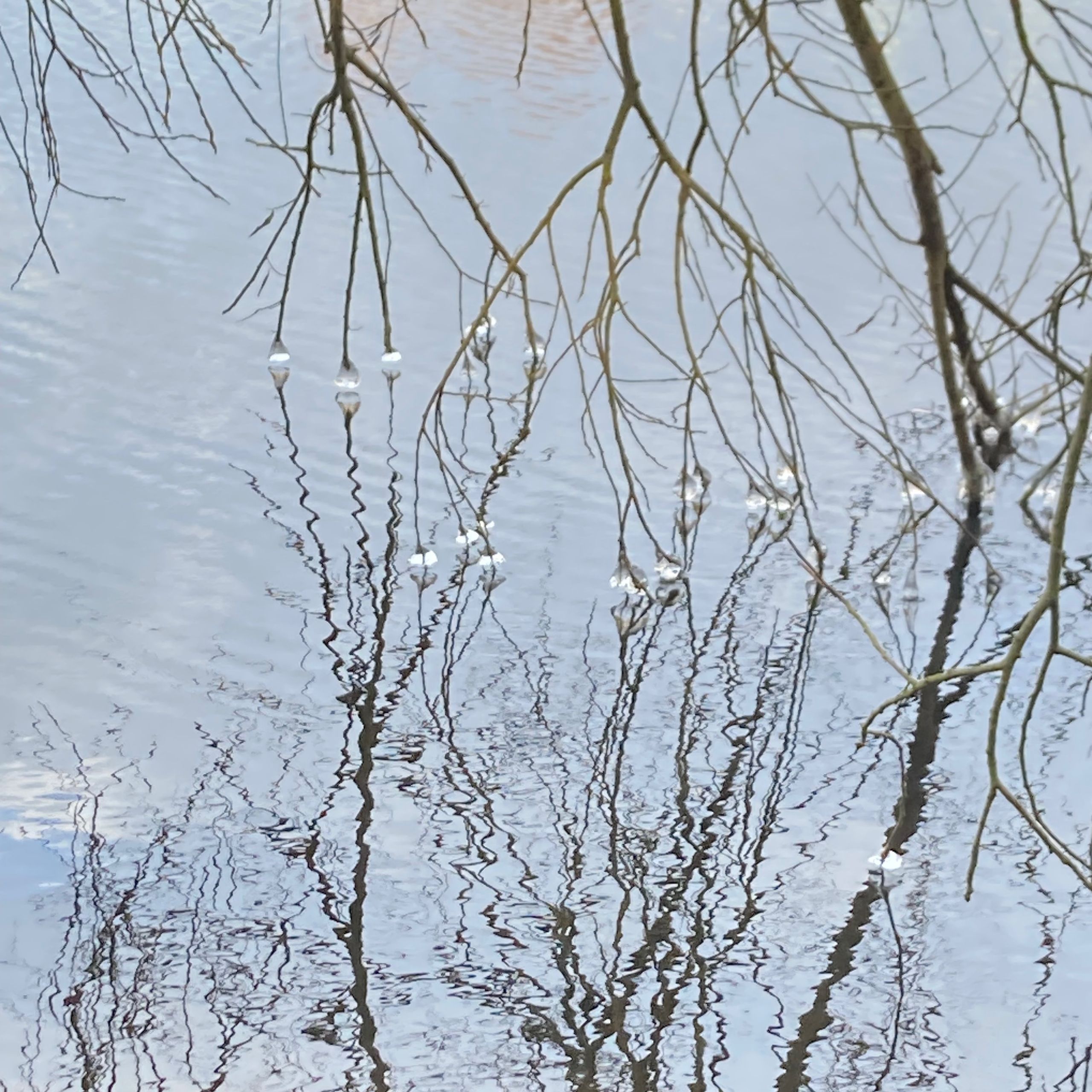 Soutěžní fotografie - Na Boží hod,  Nádrž Staviště Žďár nad Sázavou