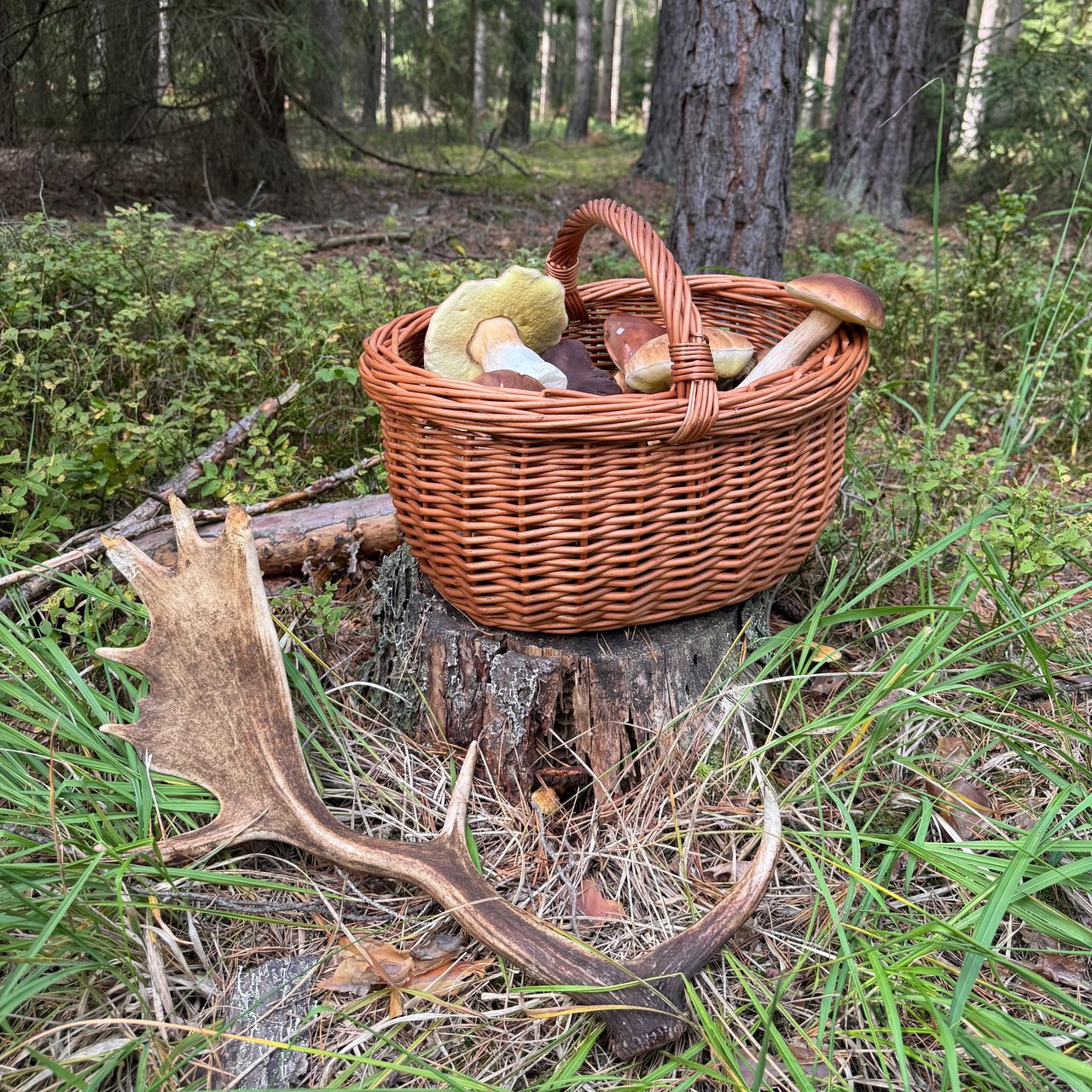 Soutěžní fotografie - Boží dílo i s trofejí