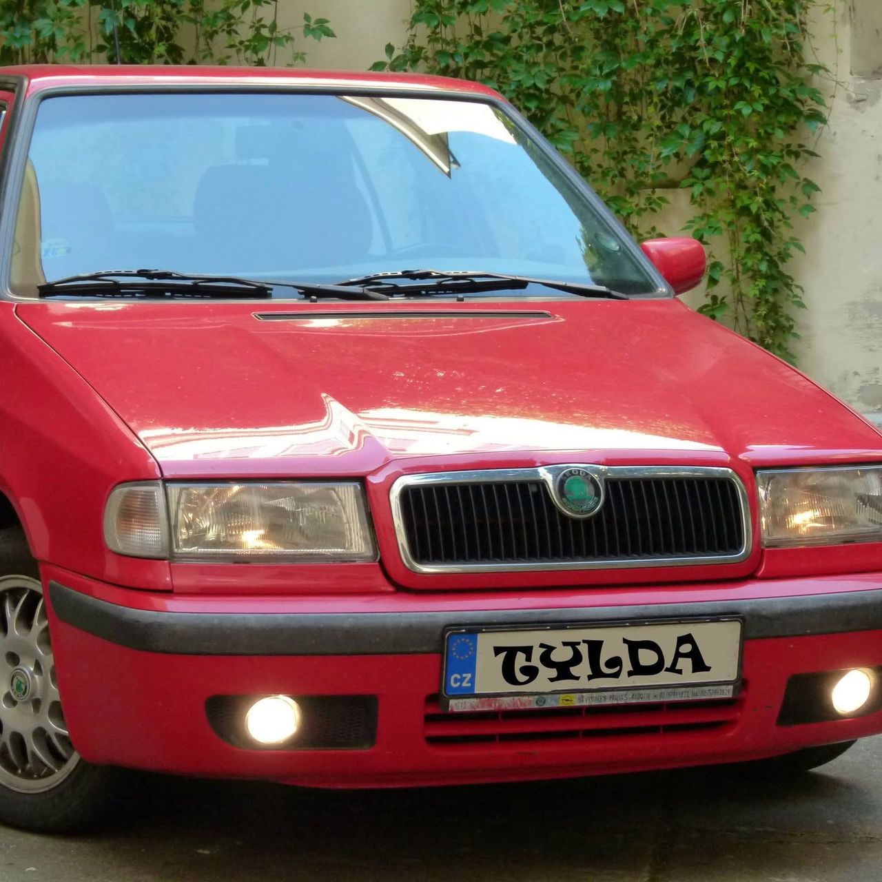 Soutěžní fotografie - Tylda,  Škoda Felicia 1.6 MPi Sportline