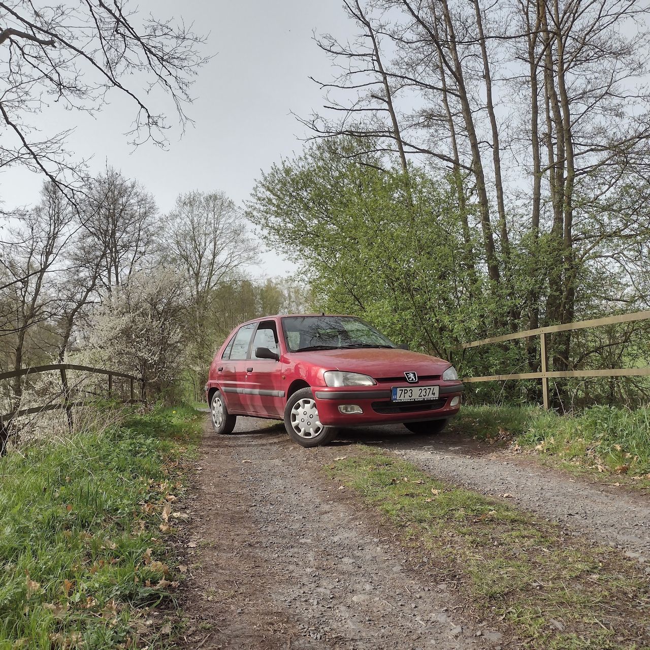 Soutěžní fotografie - Beruška,  Peugeot 106