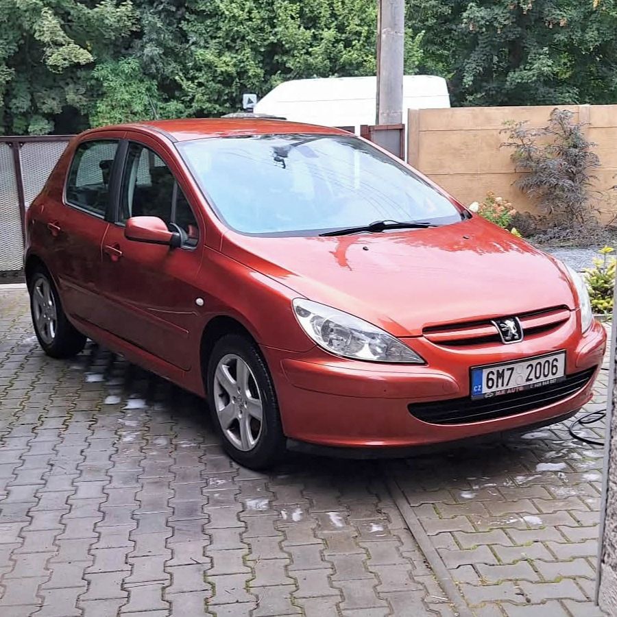 Soutěžní fotografie - Chábr,  Peugeot 307