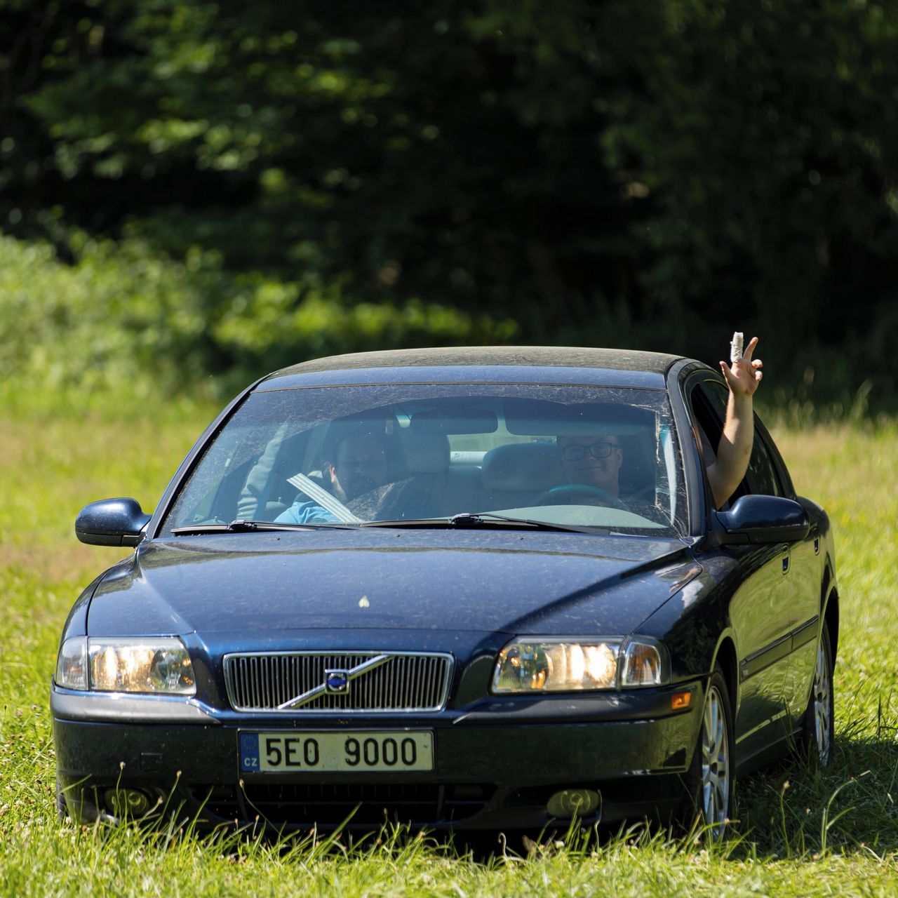 Soutěžní fotografie - Delfín,  Volvo S80