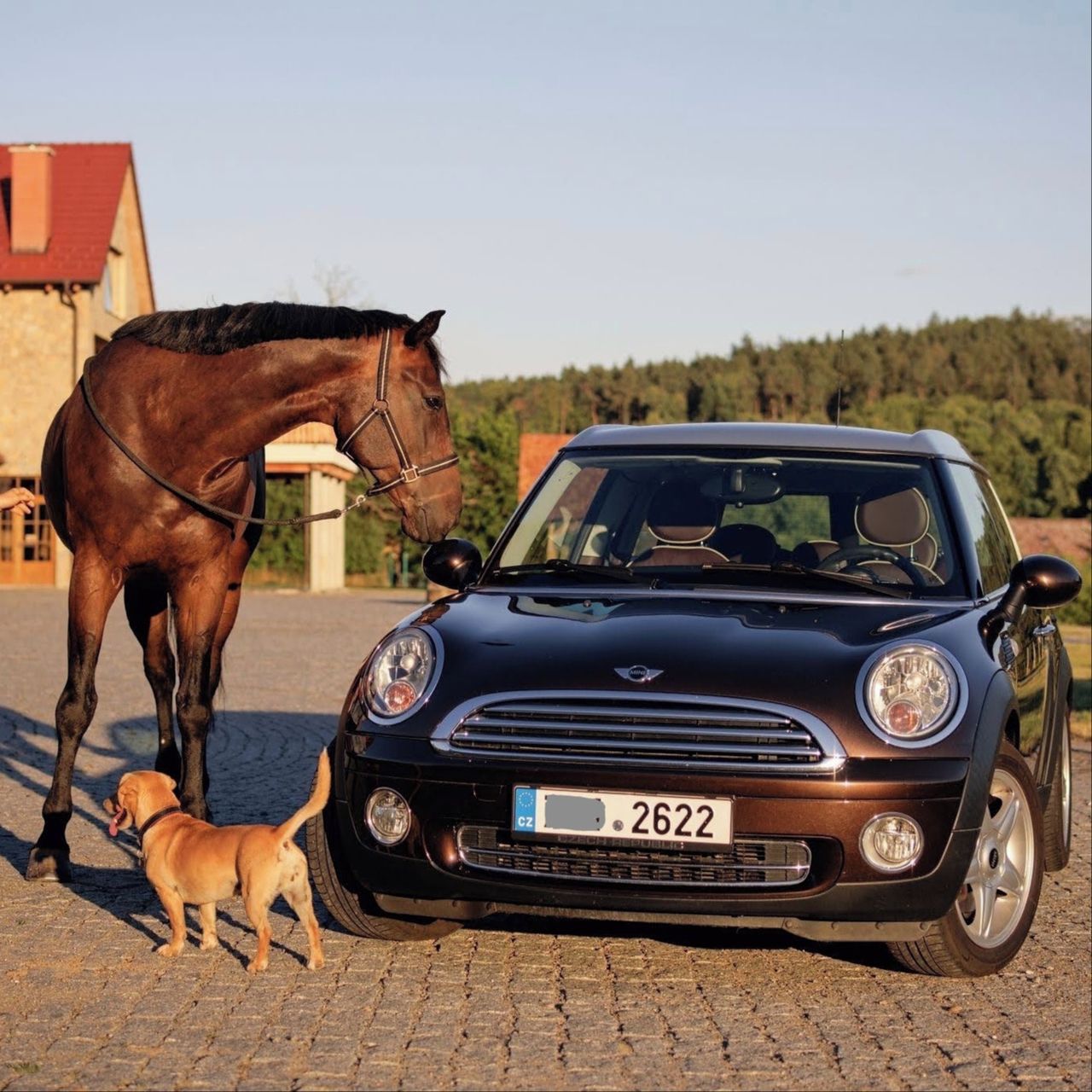 Soutěžní fotografie - Miník,  Mini Cooper Clubman