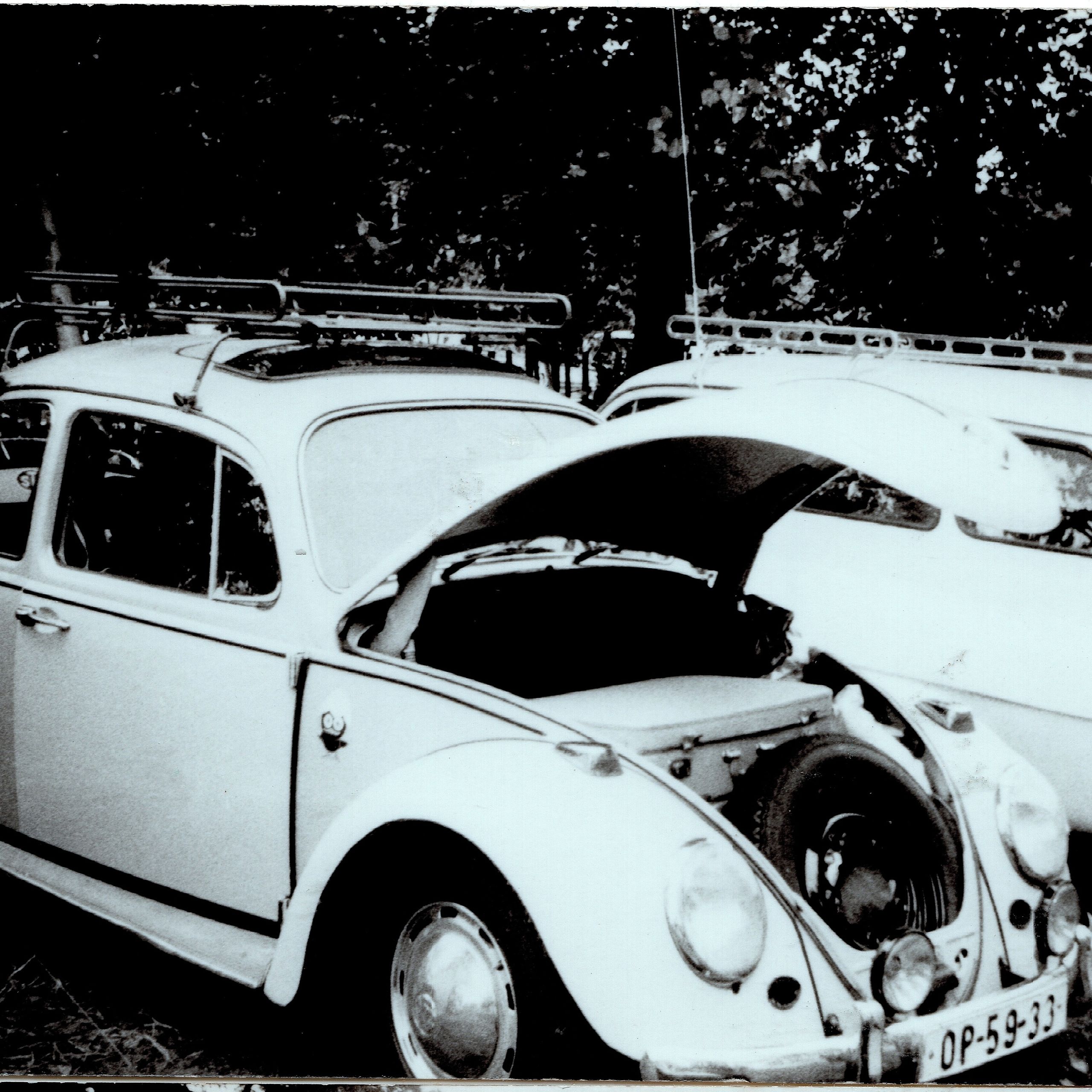 Soutěžní fotografie - Brouček,  VW brouk