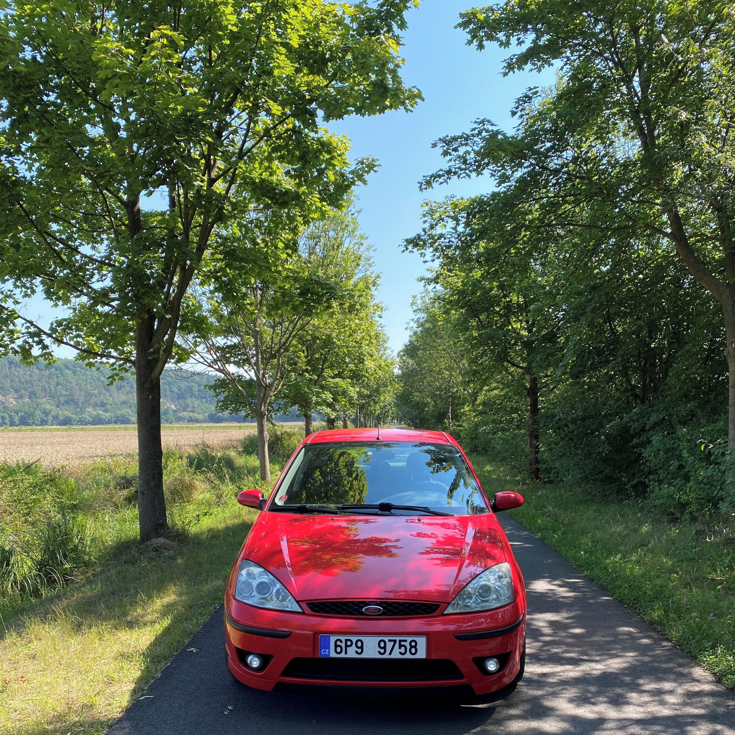 Soutěžní fotografie - Ruďák,  Ford Focus Mk1 Ghia