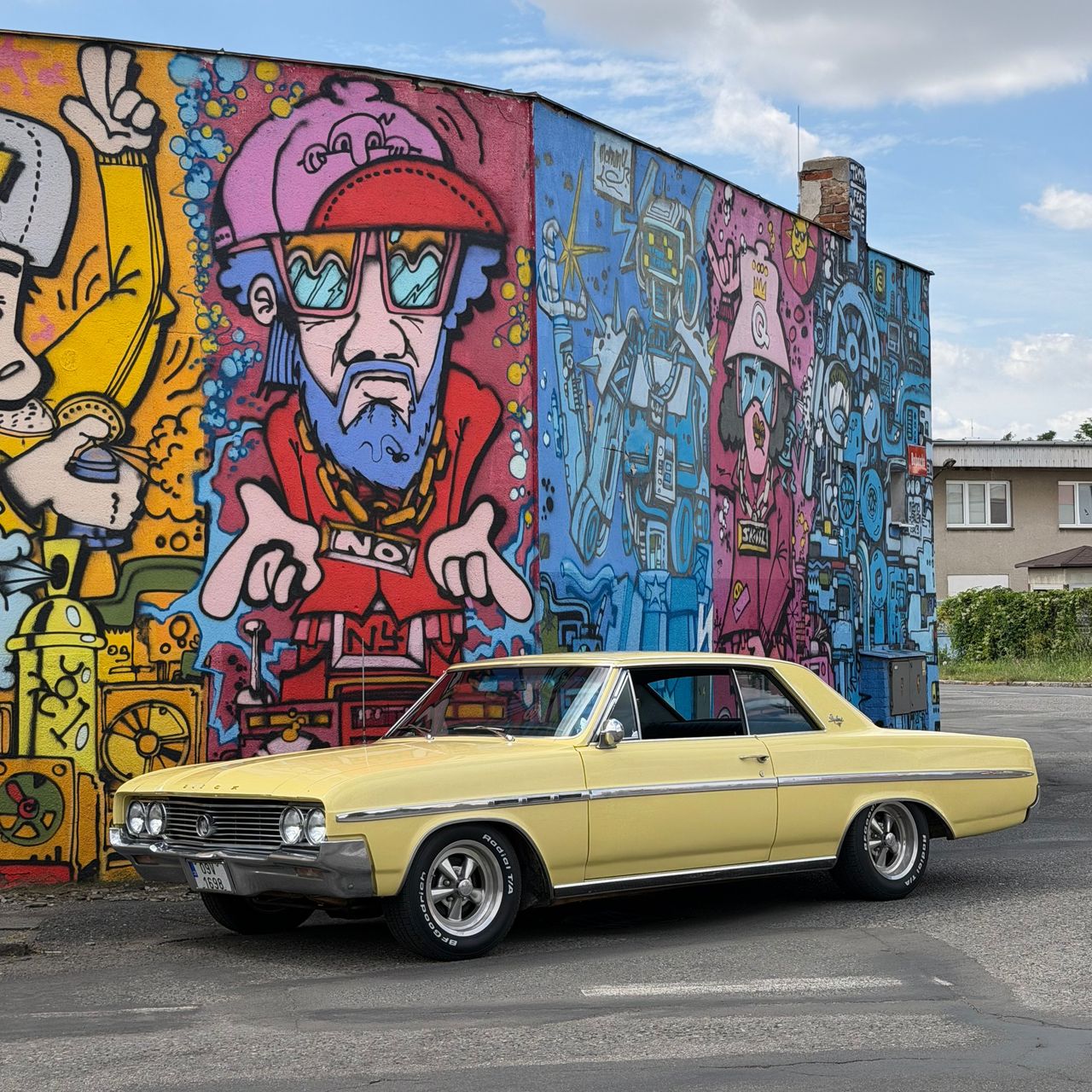 Soutěžní fotografie - Žbluňk,  Buick Skylark