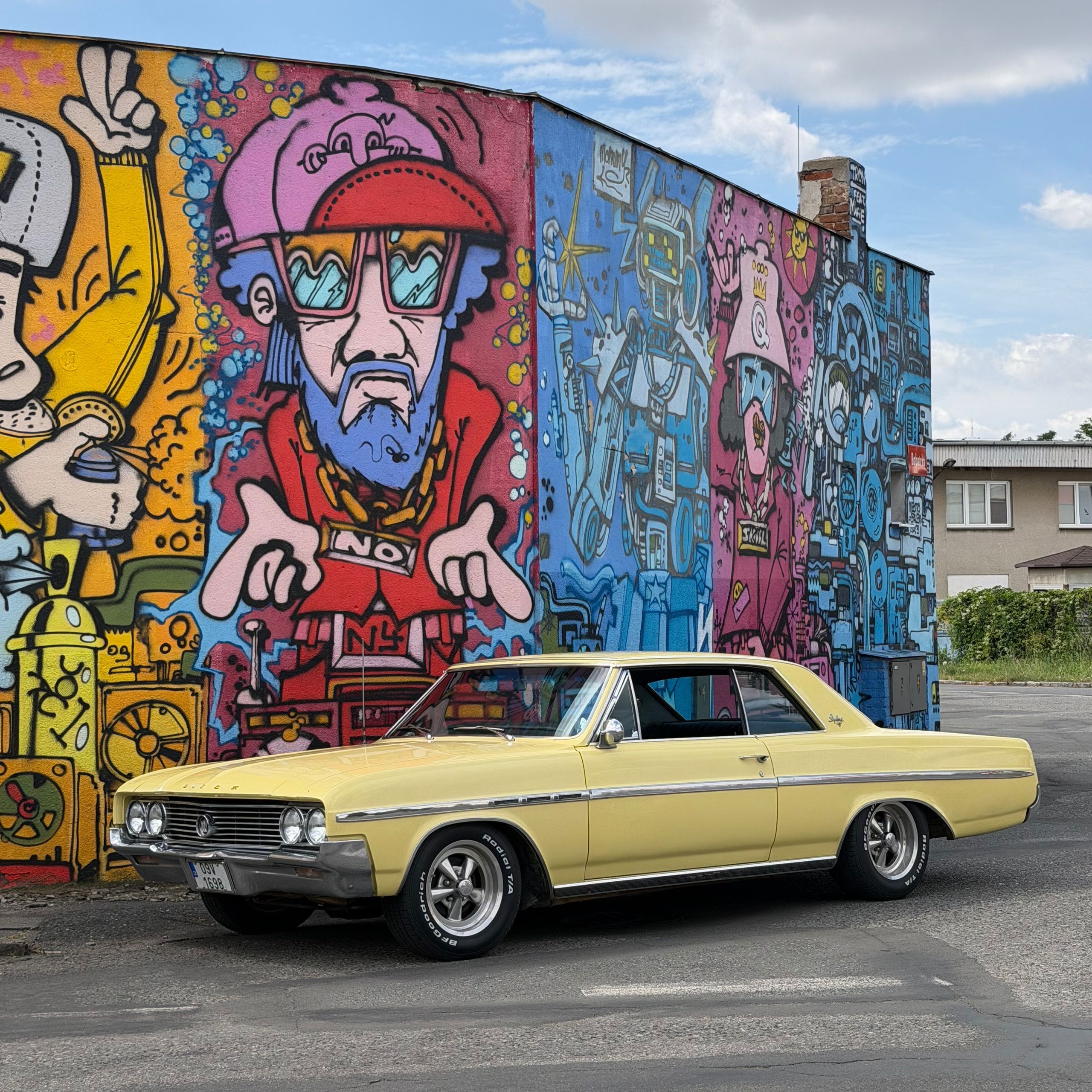 Soutěžní fotografie - Žbluňk,  Buick Skylark