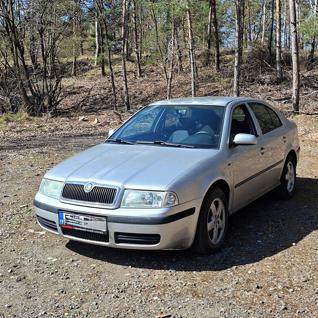 Soutěžní fotografie - Ovce,  Škoda Octavia 1