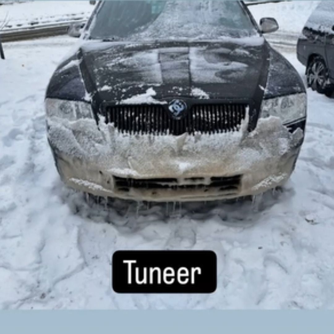 Soutěžní fotografie - Ovečka,  škoda Octavia 2