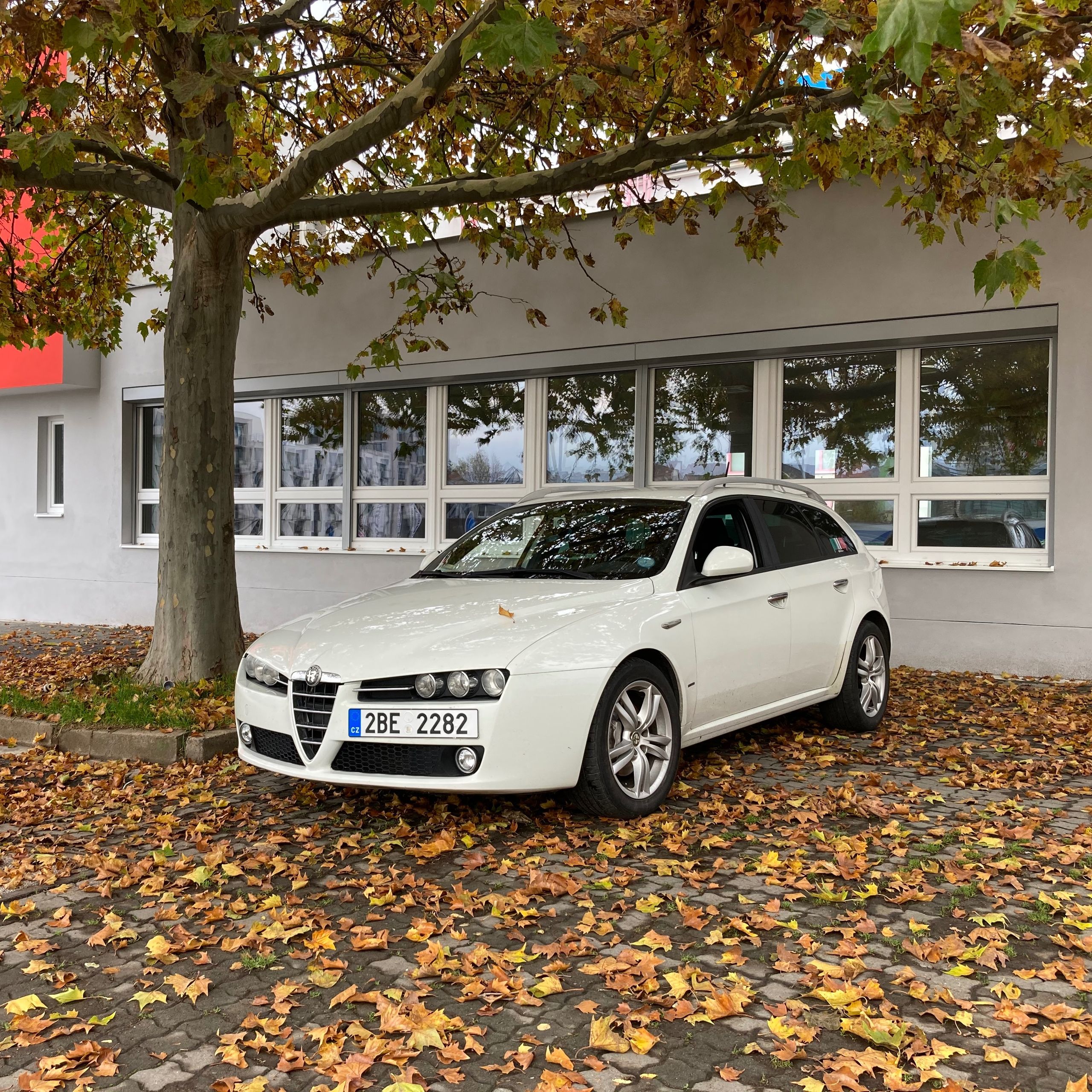 Soutěžní fotografie - Sněhurka,  Alfa Romeo 159 sw 1.9jtdm