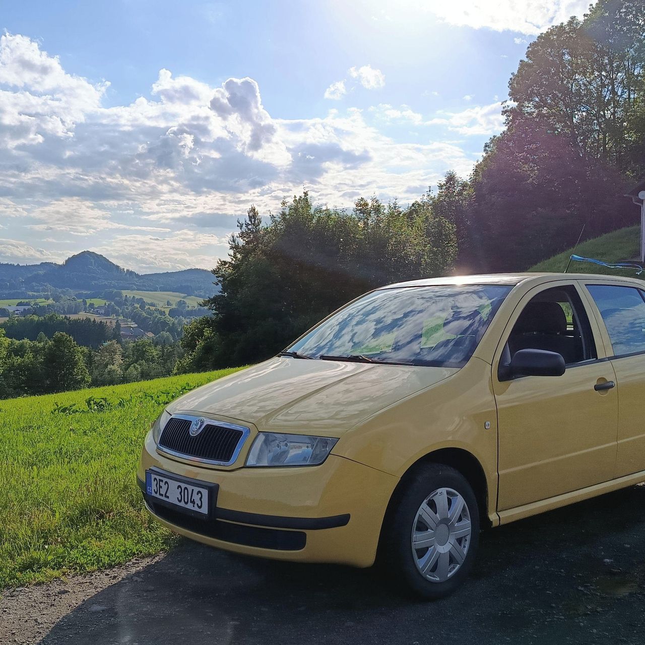 Soutěžní fotografie - Včelka,  Škoda Fabia 1