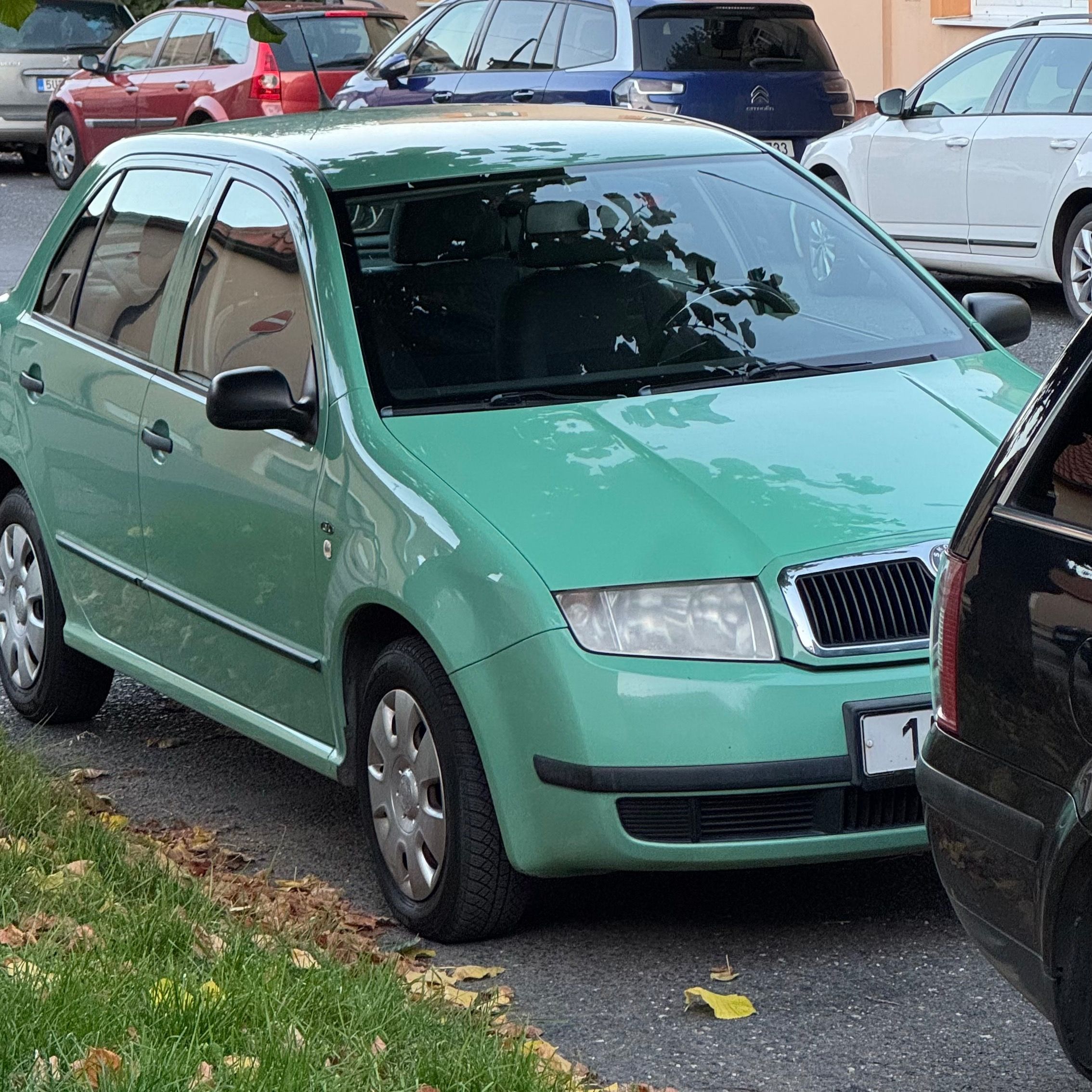 Soutěžní fotografie - Fábík,  Fabia 1