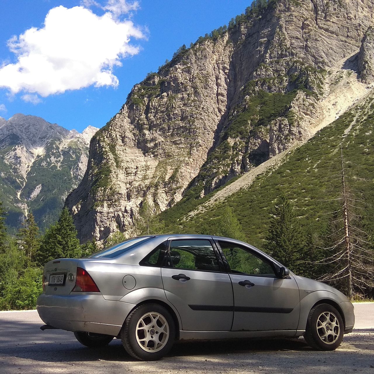 Soutěžní fotografie - Fíkus,  Ford Focus