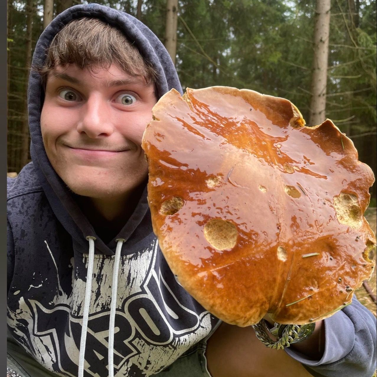 Soutěžní fotografie - Malá radost z lesa