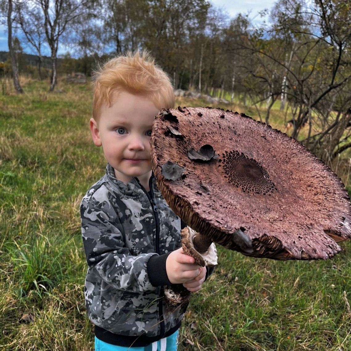 Soutěžní fotografie - Nová verze bio-deštníku úspěšně otestová