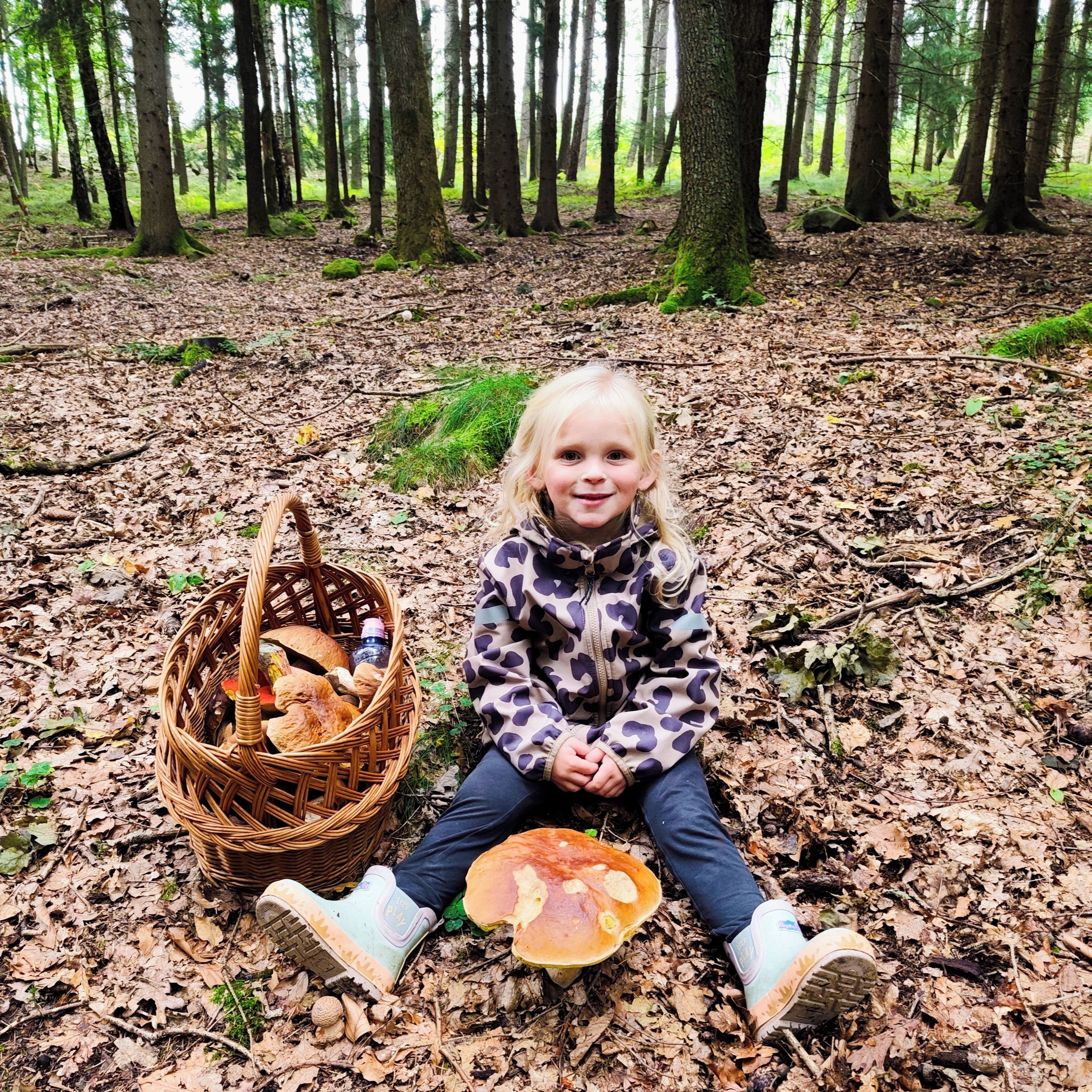 Soutěžní fotografie - Houbová princezna