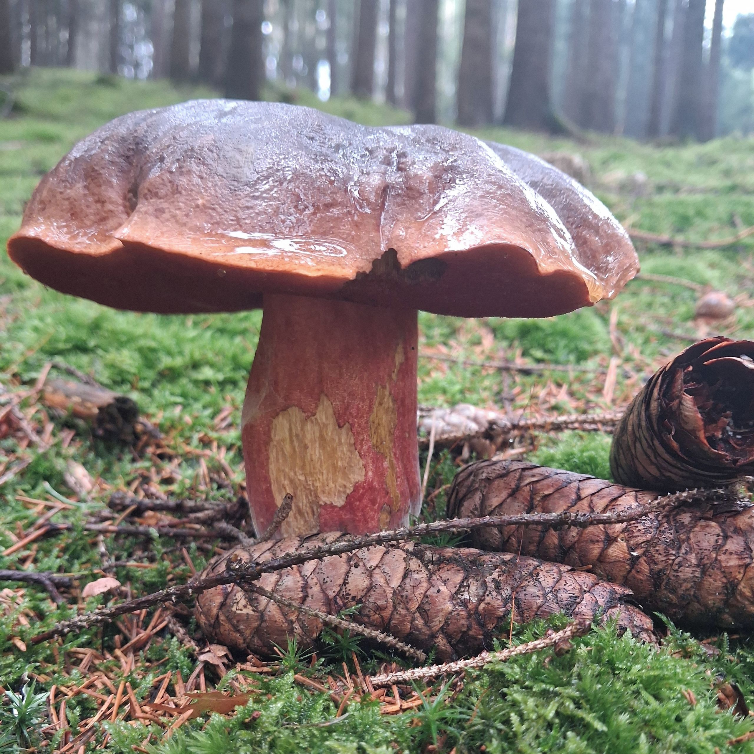 Soutěžní fotografie - Koloděj
