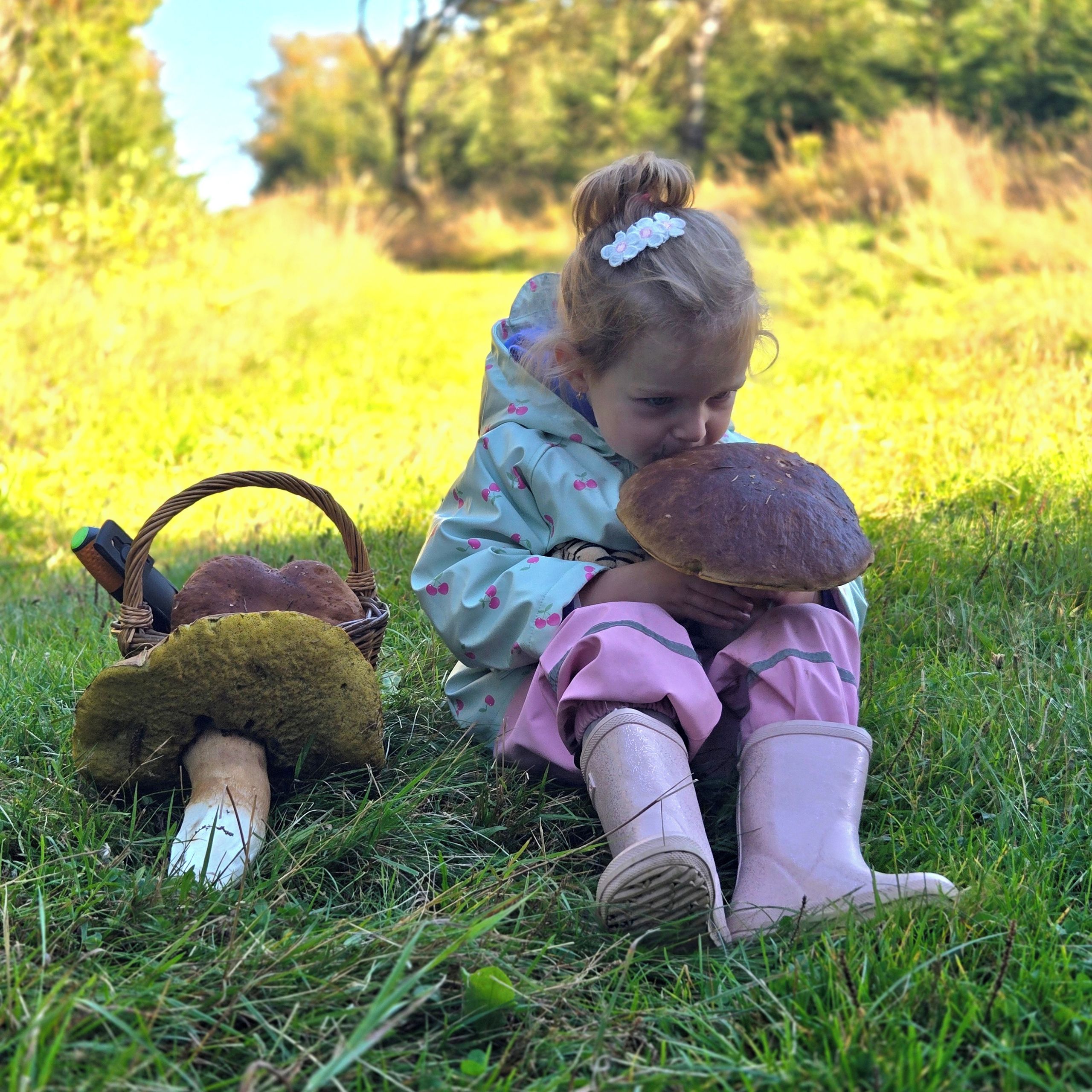 Soutěžní fotografie - Houbařka Simonka