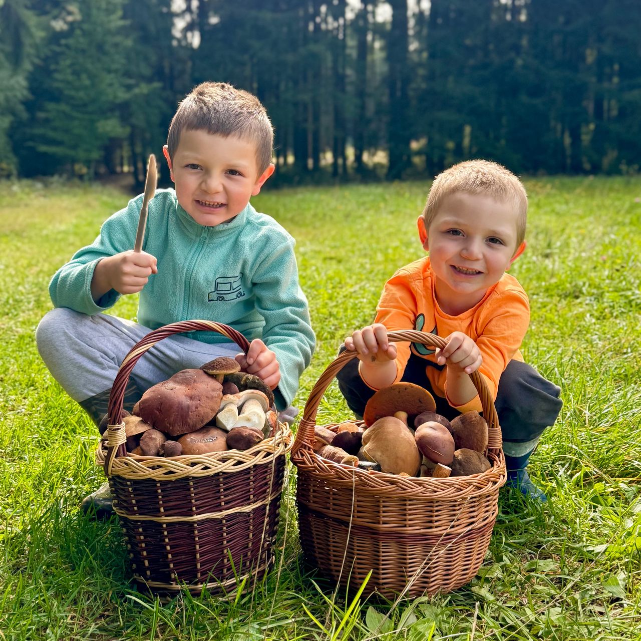 Soutěžní fotografie - Houbobraní