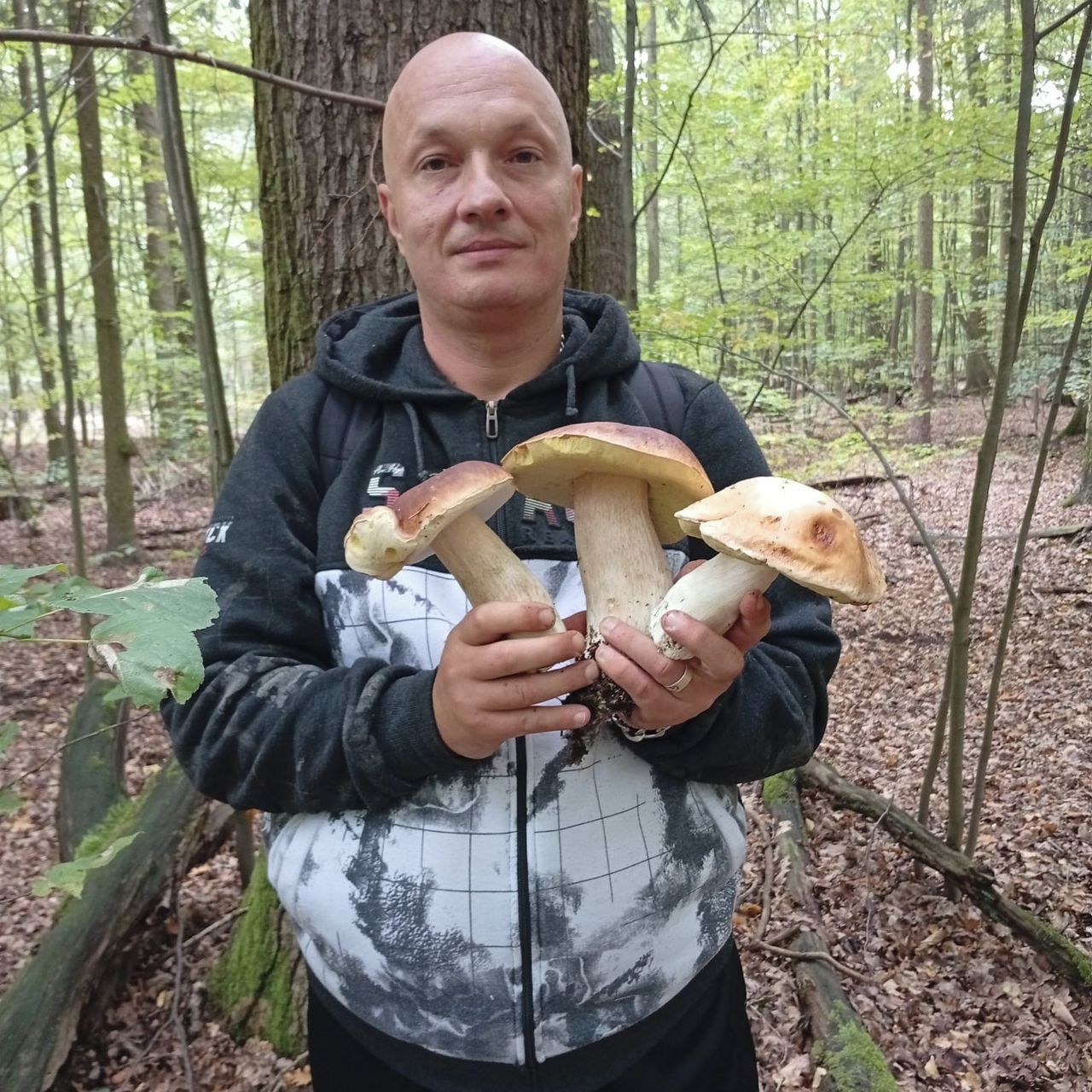 Soutěžní fotografie - Náhodná procházka lesem