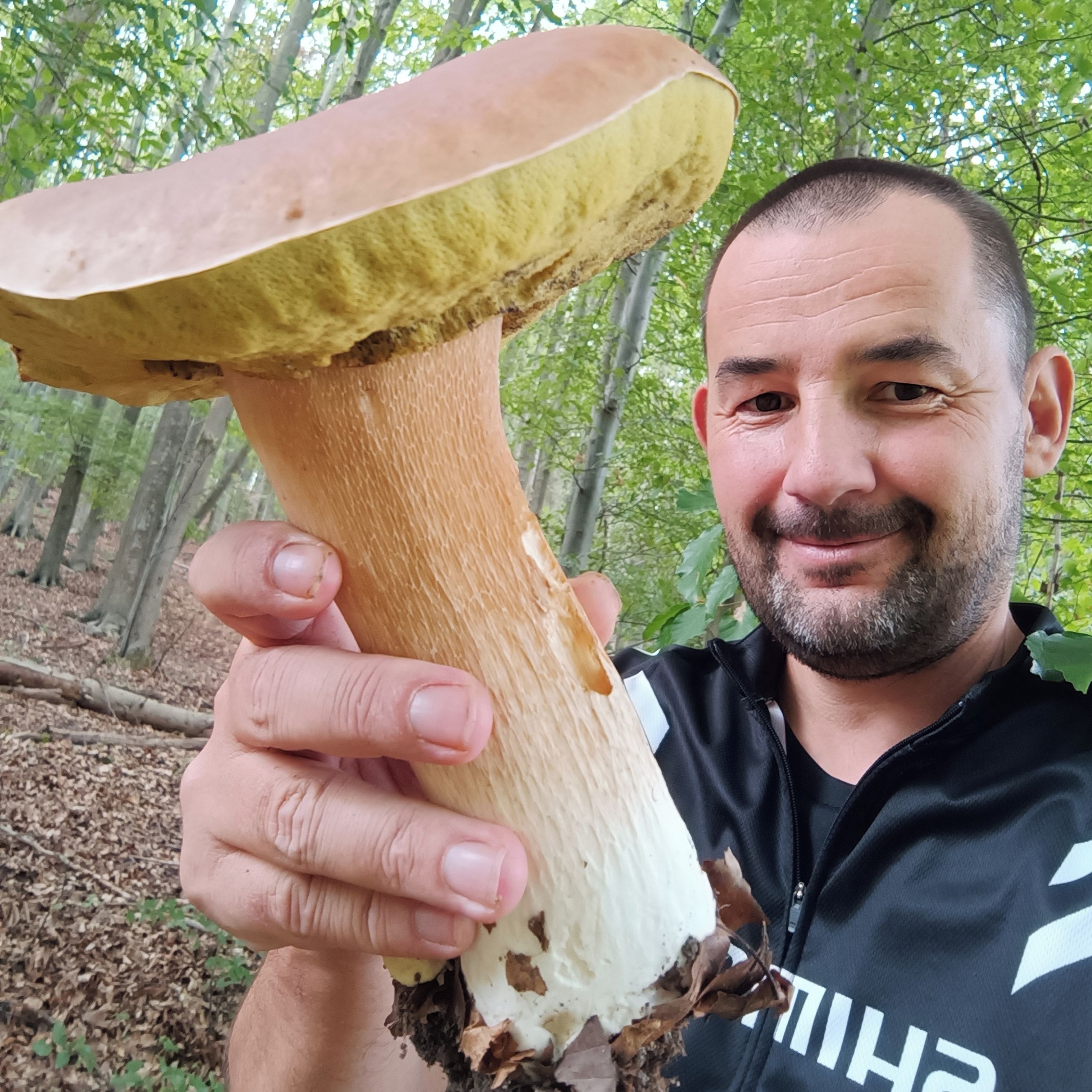 Soutěžní fotografie - Obr hřib