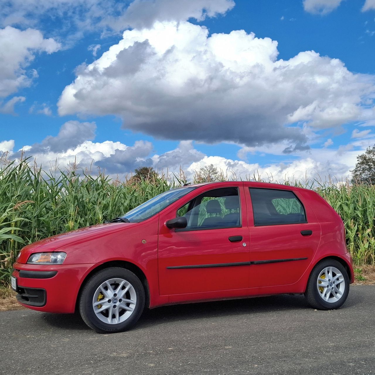 Soutěžní fotografie - ENZO,  Fiat Punto