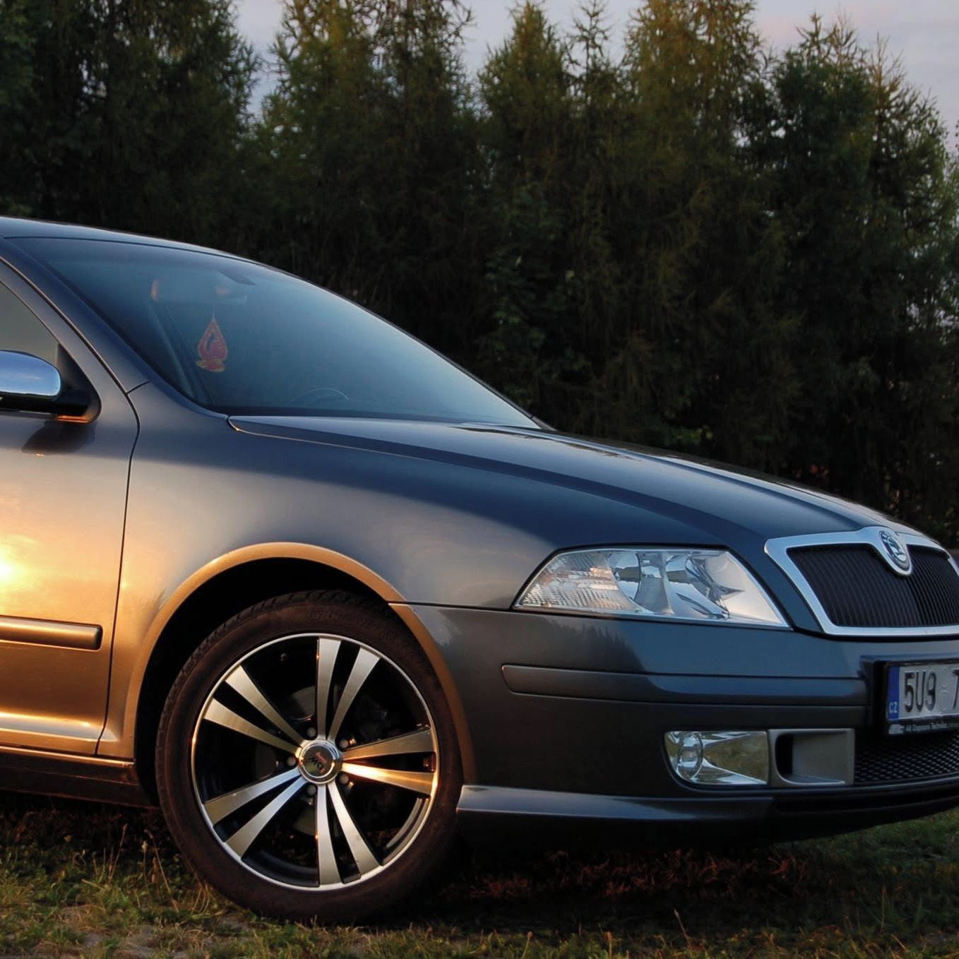 Soutěžní fotografie - Milouš,  Škoda Octavia