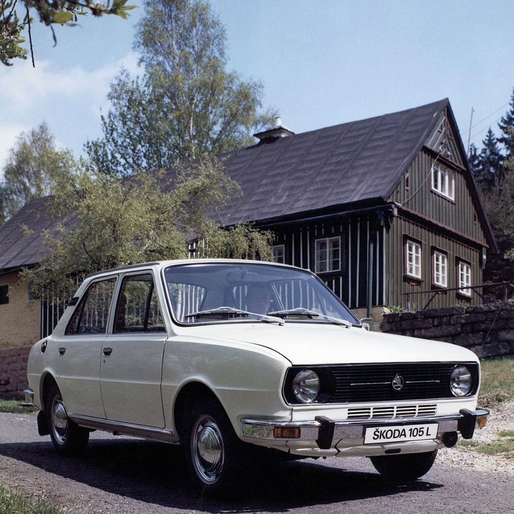 Soutěžní fotografie - Mazlik,  Škoda 105l